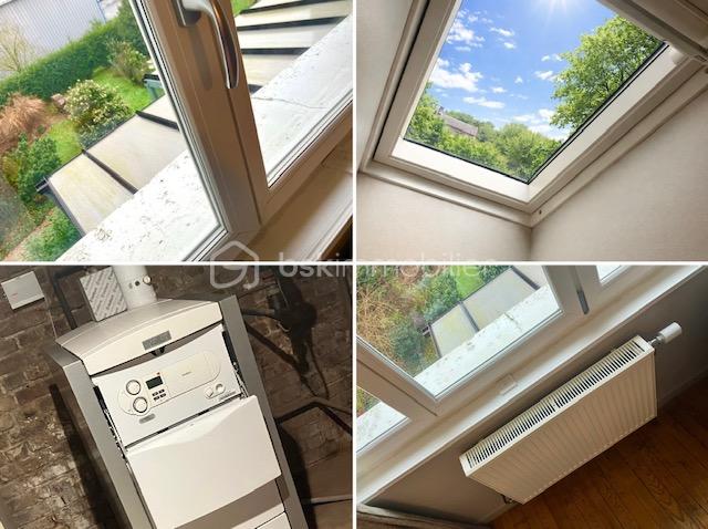 demongeot amalgame fenêtres.jpg