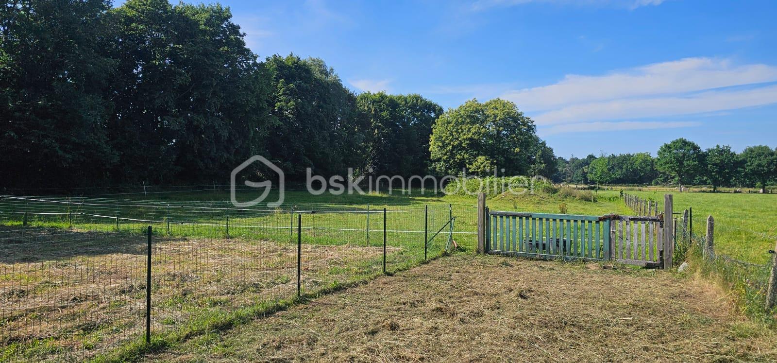 Maison en pierre de 163 m² - WhatsApp Image 2025-06-24 à 09.40.23_68fa9494.jpg