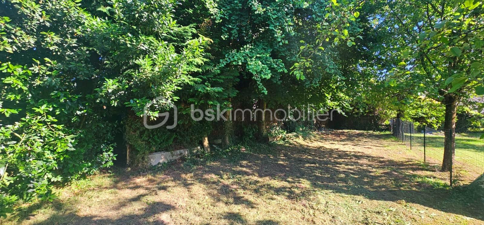 Maison en pierre de 163 m² - WhatsApp Image 2025-06-24 à 09.40.23_e065bf3e.jpg