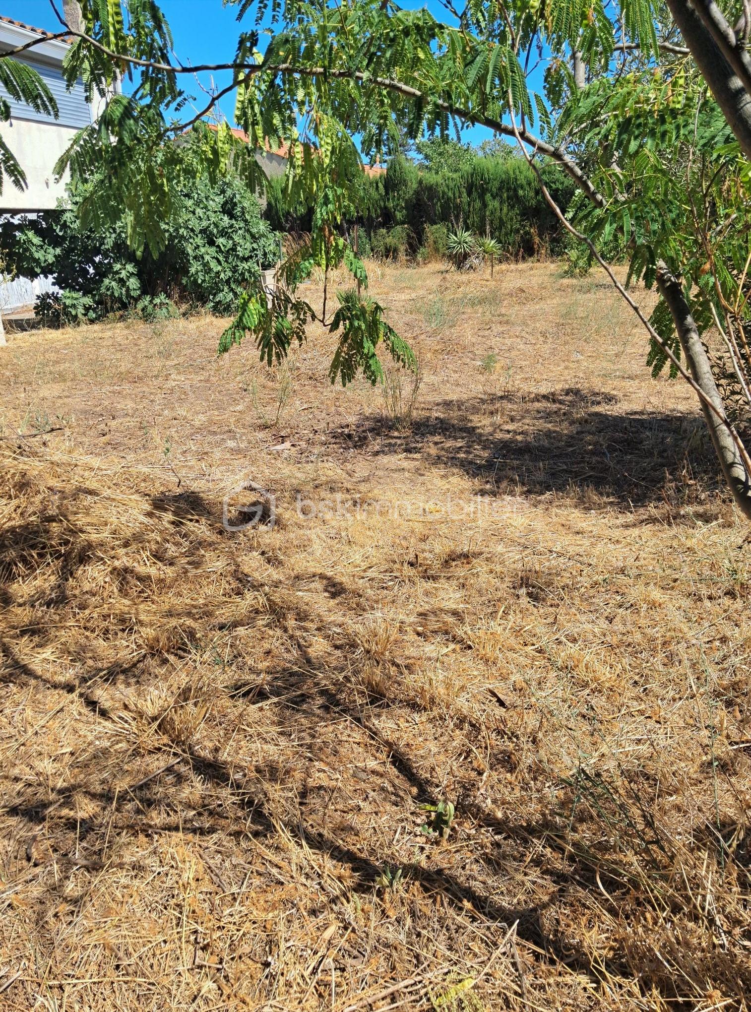 jardin 1.jpg