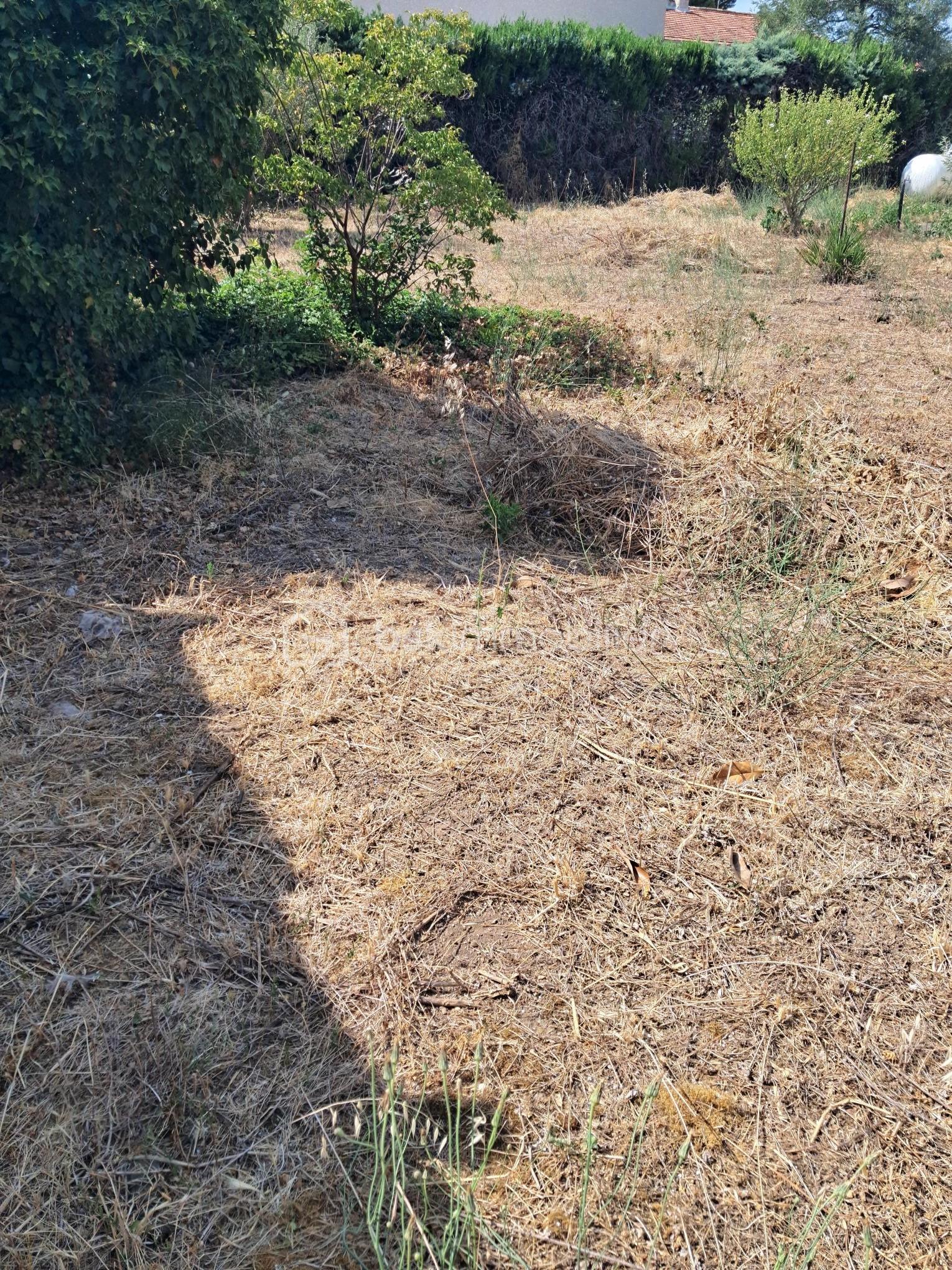 terrain 2.jpg