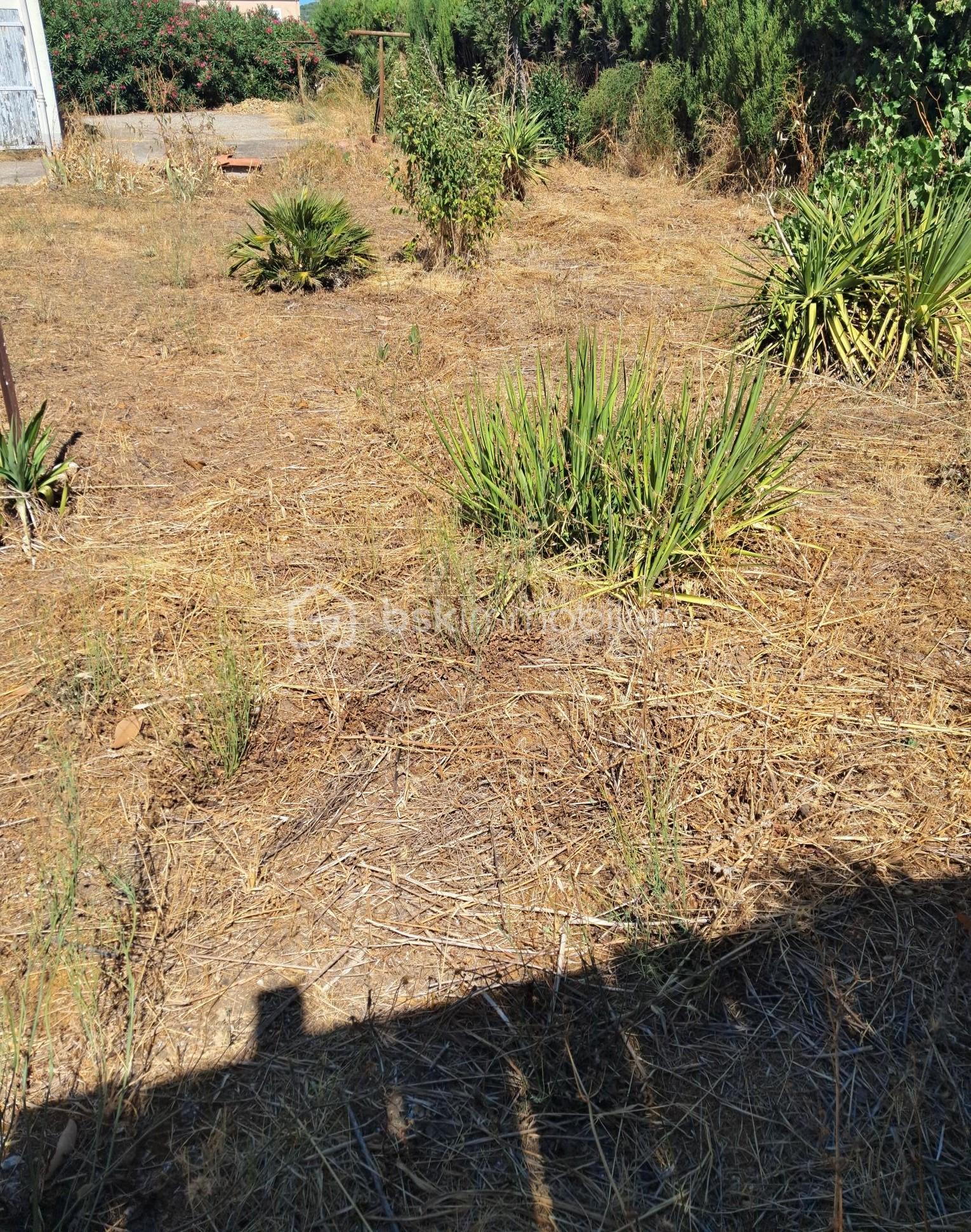 jardin 3.jpg