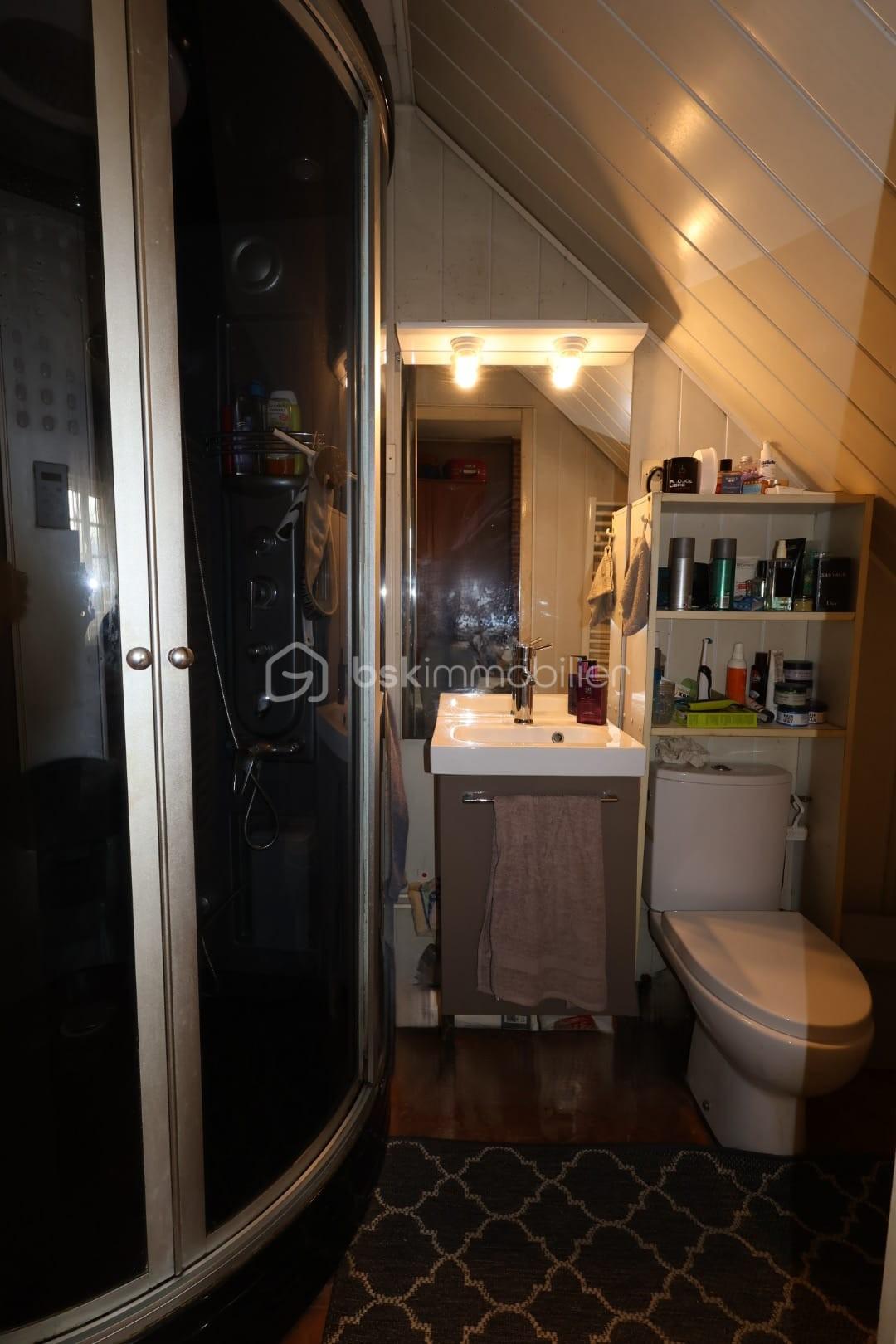 salle de douche.jpeg