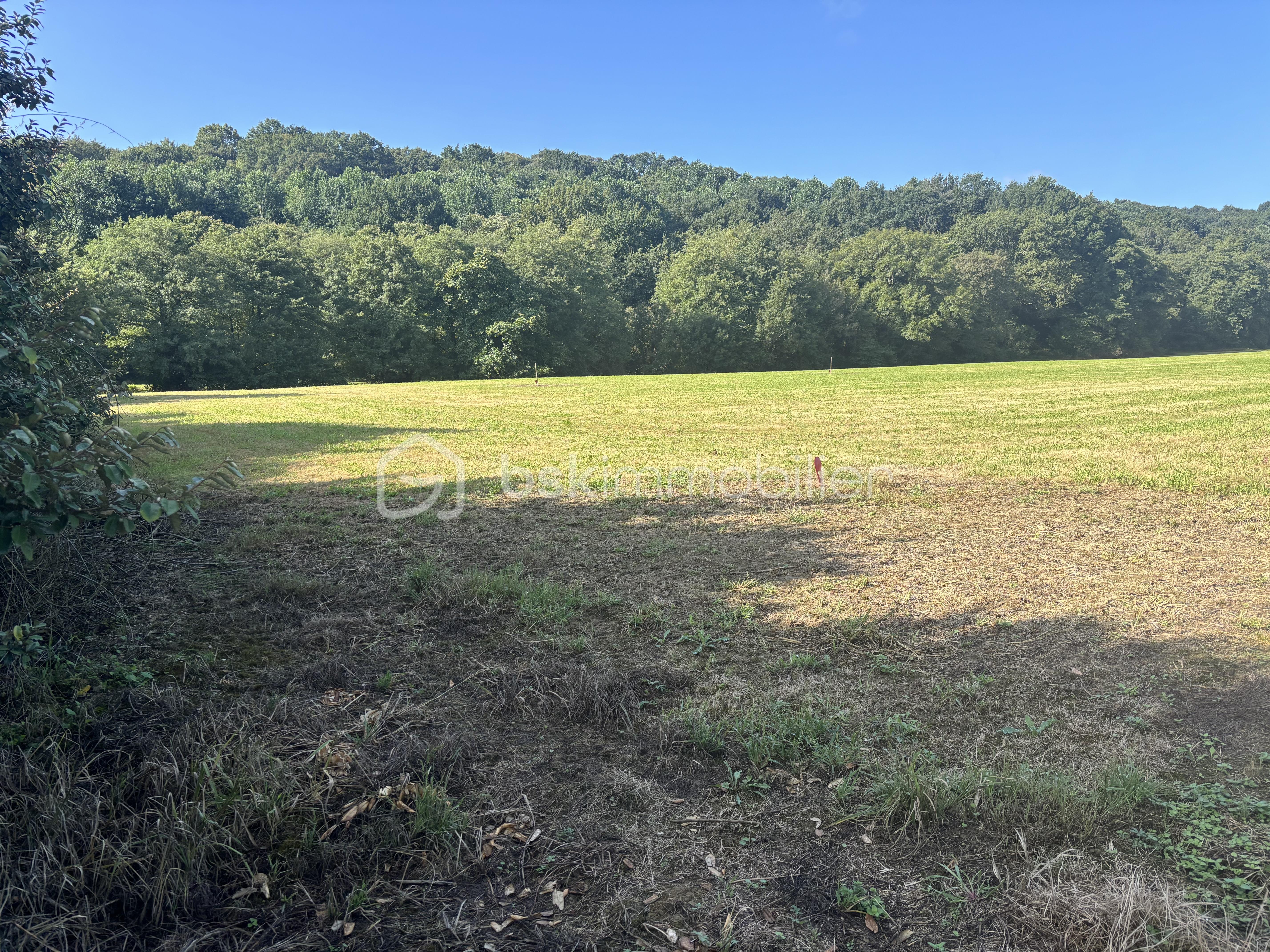 Terrain de 1 161 m² - IMAGE 3 TERRAIN ANTON.jpg