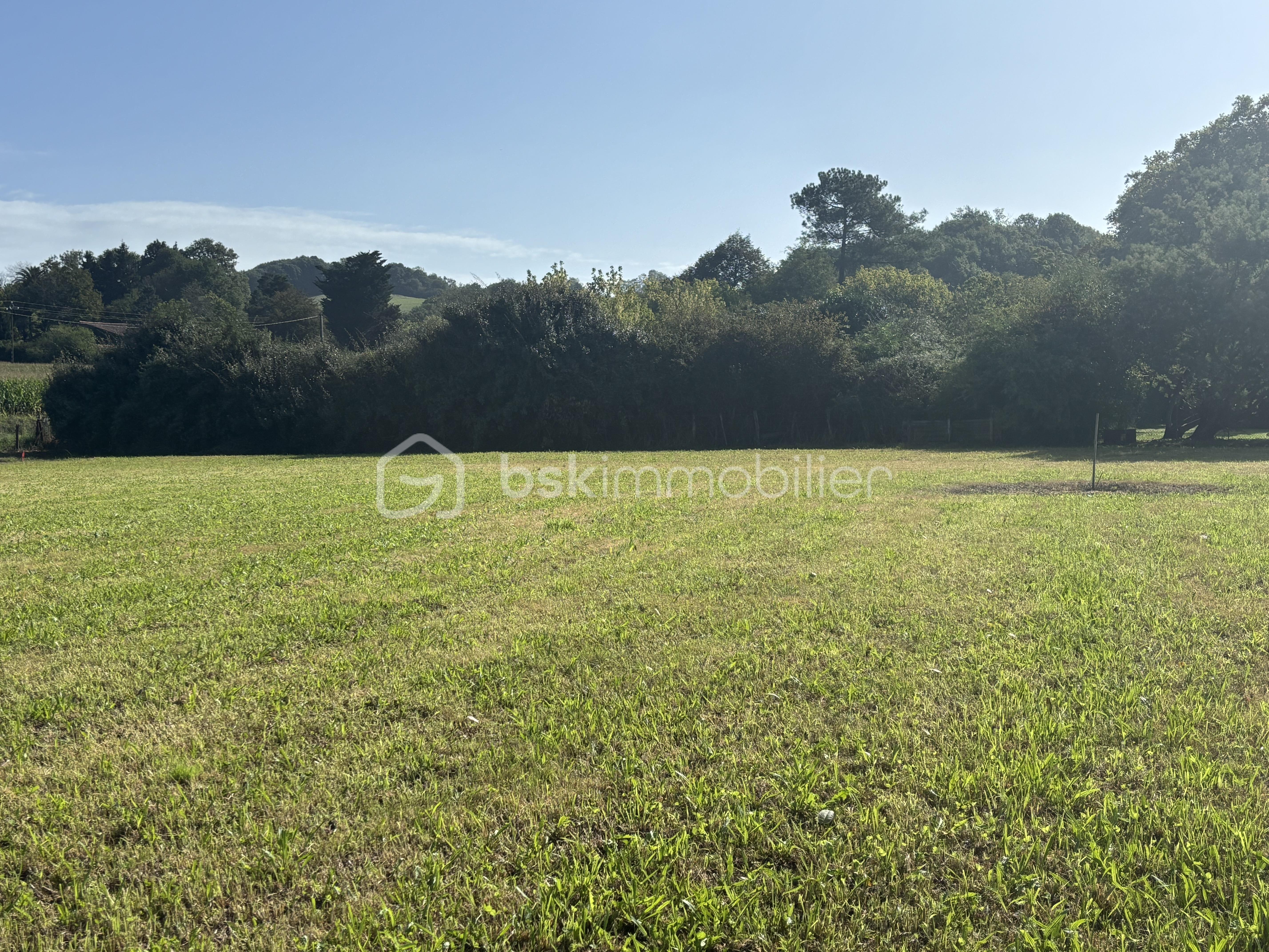 Terrain de 1 161 m²