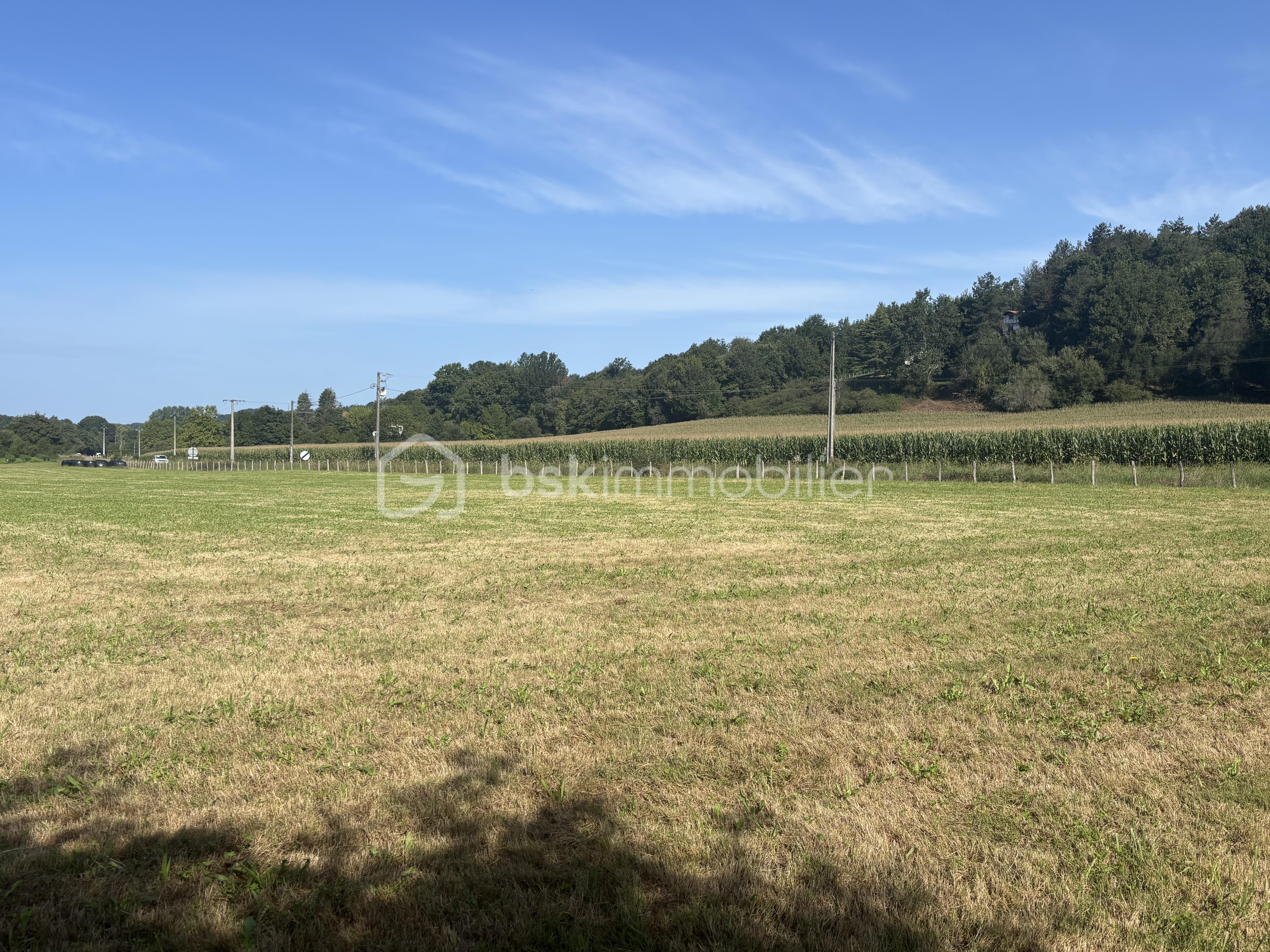 Terrain de 1 161 m² - IMAGE 2 TERRAIN ANTTON.jpg