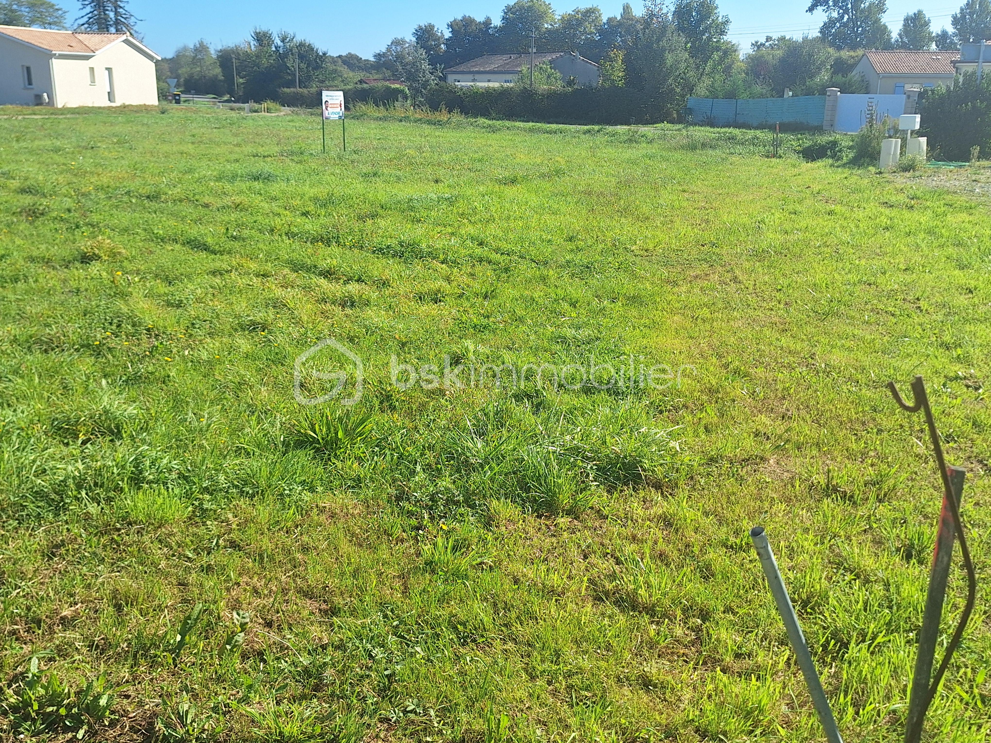 Terrain de 1 300 m² - 4 10-2025.jpg