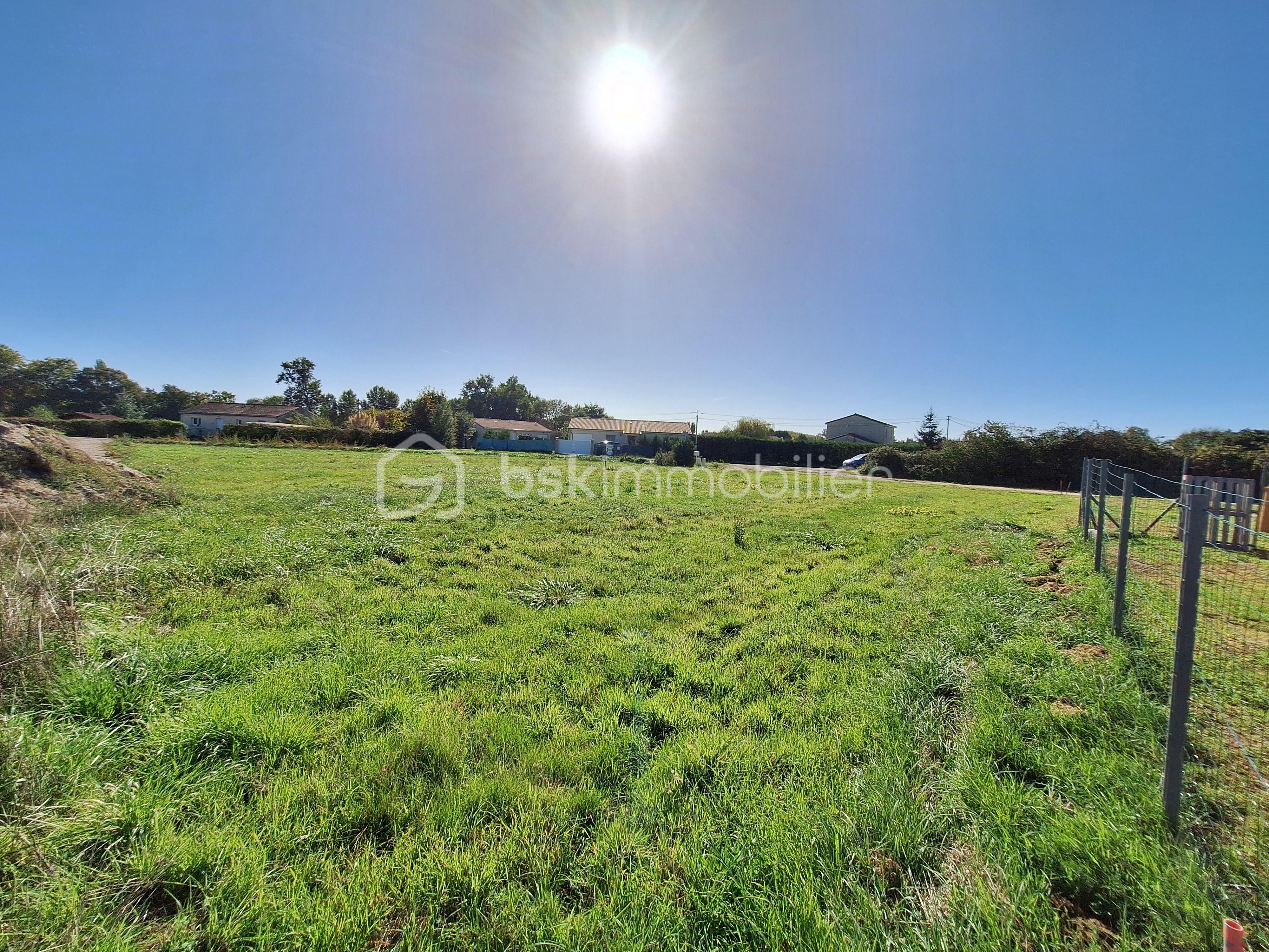 Terrain de 1 300 m² - 3 10-2025.jpg