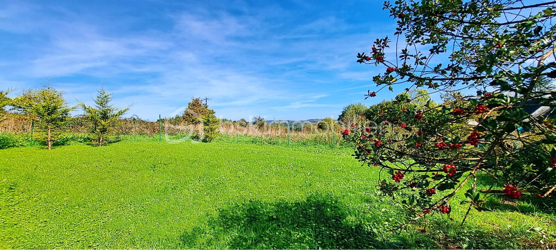 Maison de 90 m² - jardin.jpg