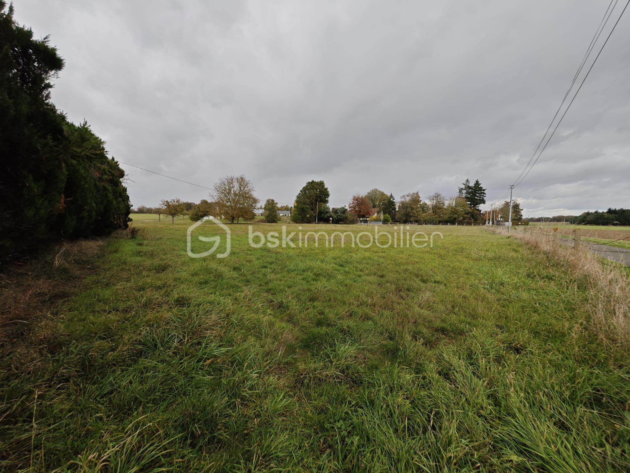 Maison de 125 m² - IMG-20251023-WA0003.jpg