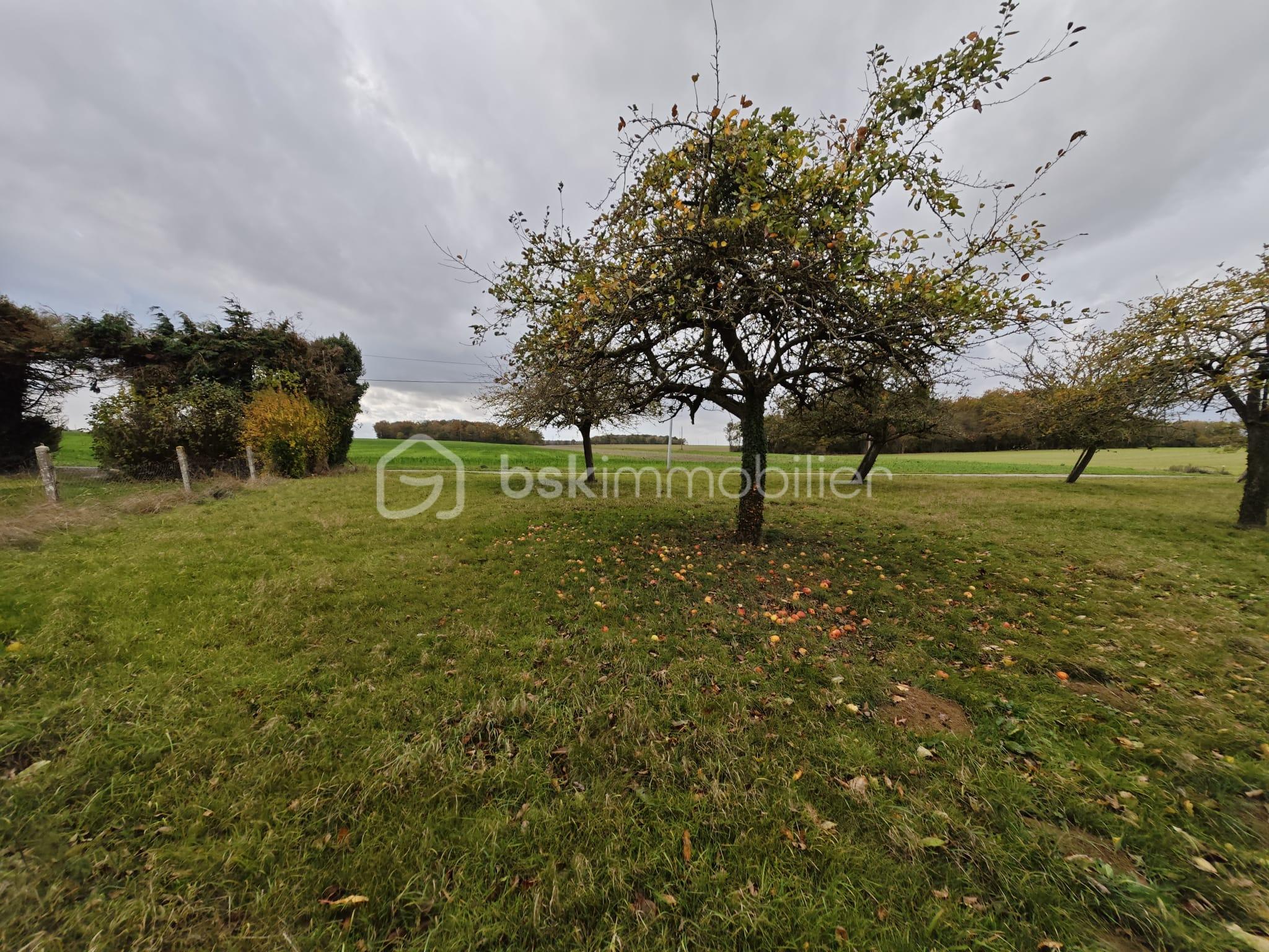 Maison de 125 m² - IMG-20251023-WA0001.jpg