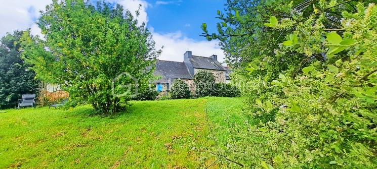 jardin façade arrière.jpg