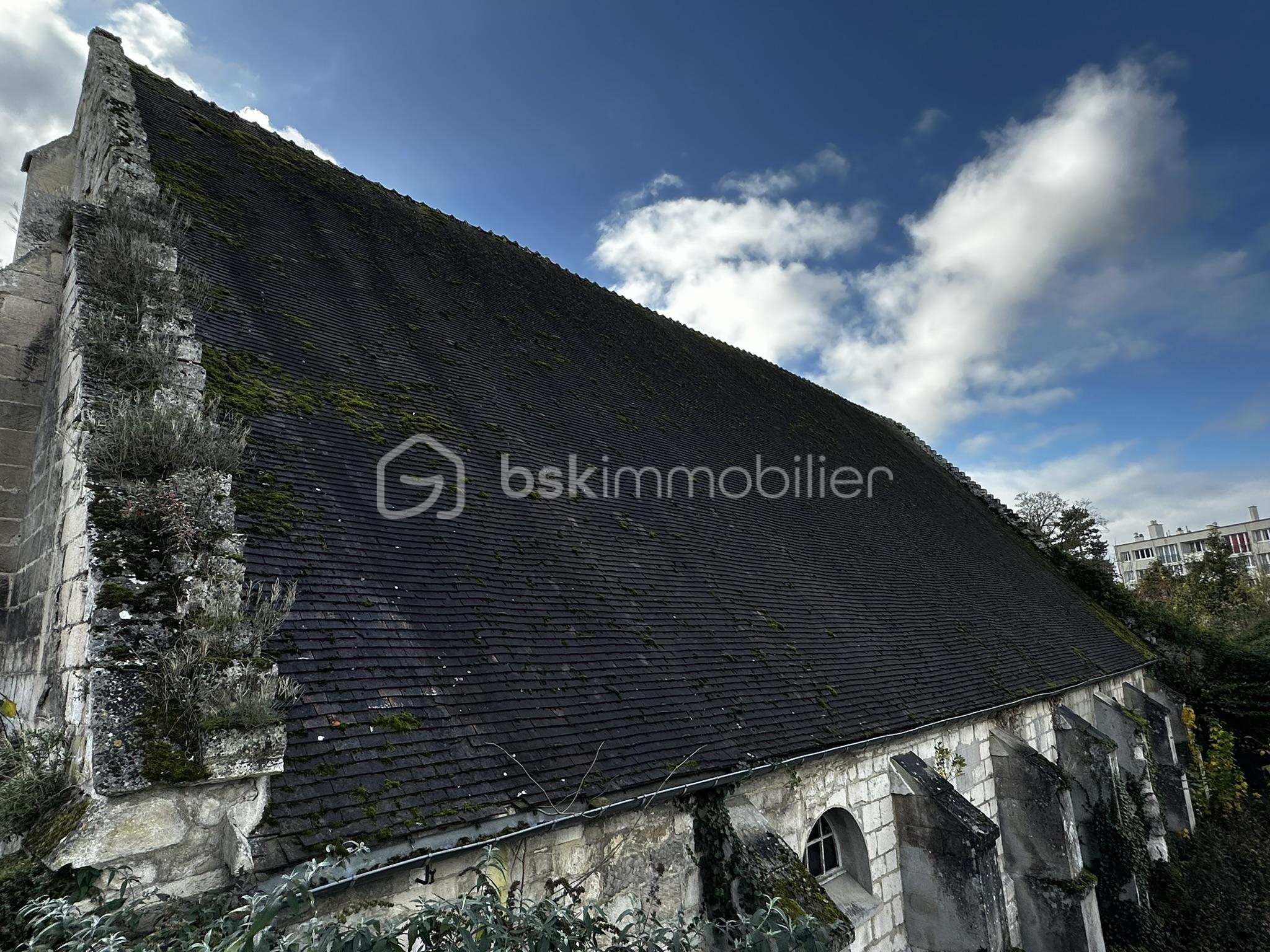 Immeuble mixte de 496 m² - IMG_9286.JPEG