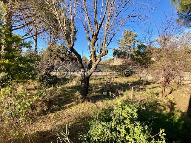 Villa de 260 m² - IMG_2295.jpg