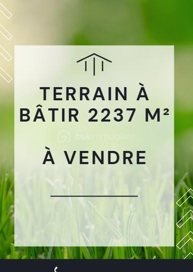 Capture d’écran 2026-07-19 174047.png