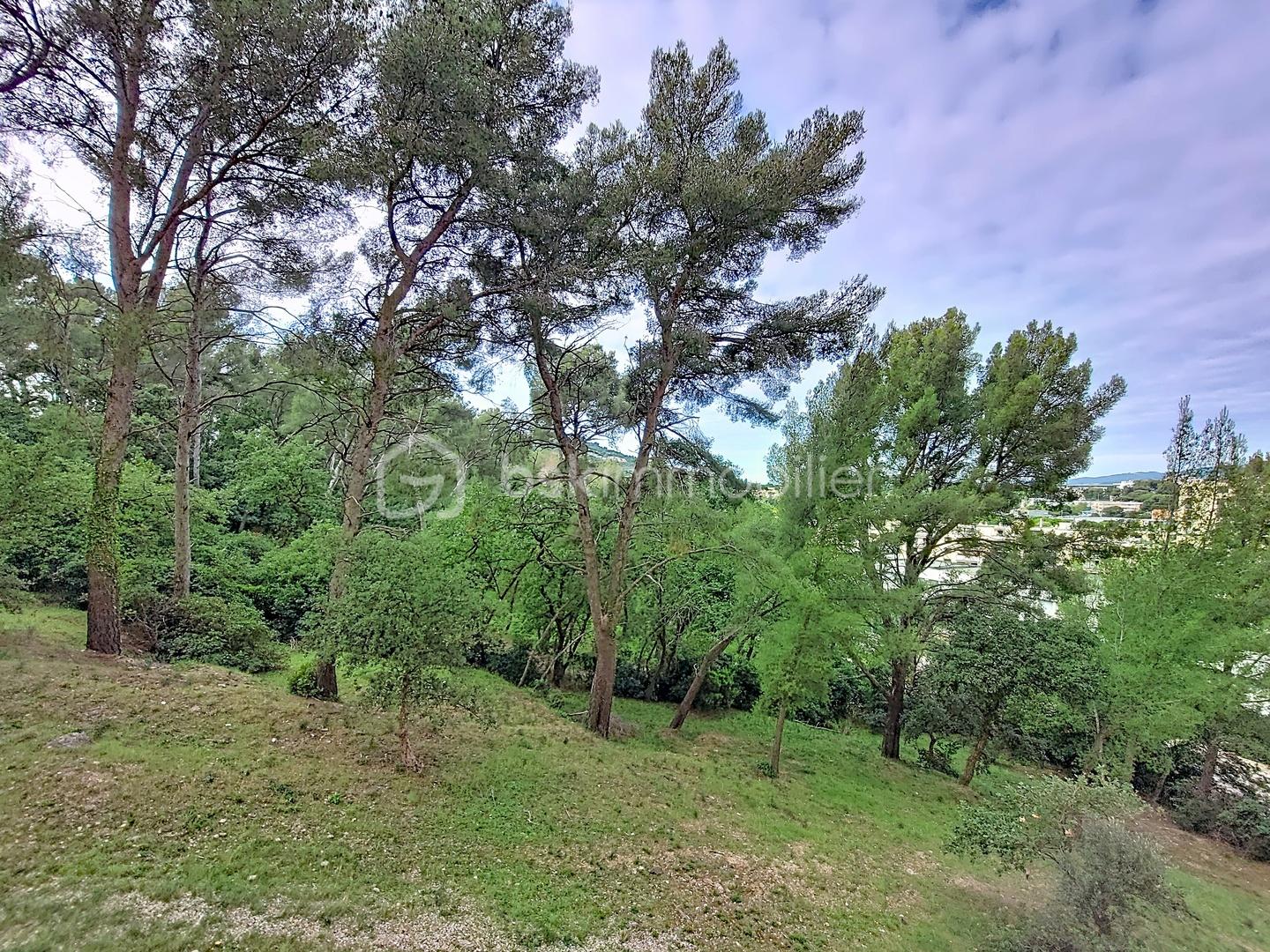 Appartement de 76,11 m² - 1000011460.jpg