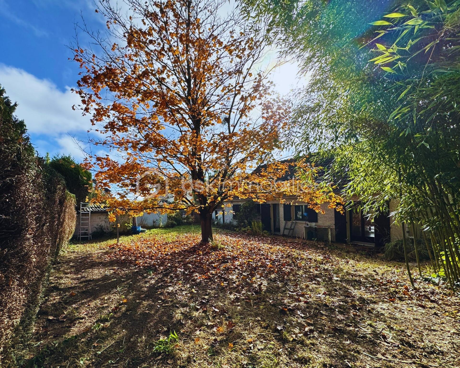 Maison traditionnelle de 113 m² - canjardin2.png