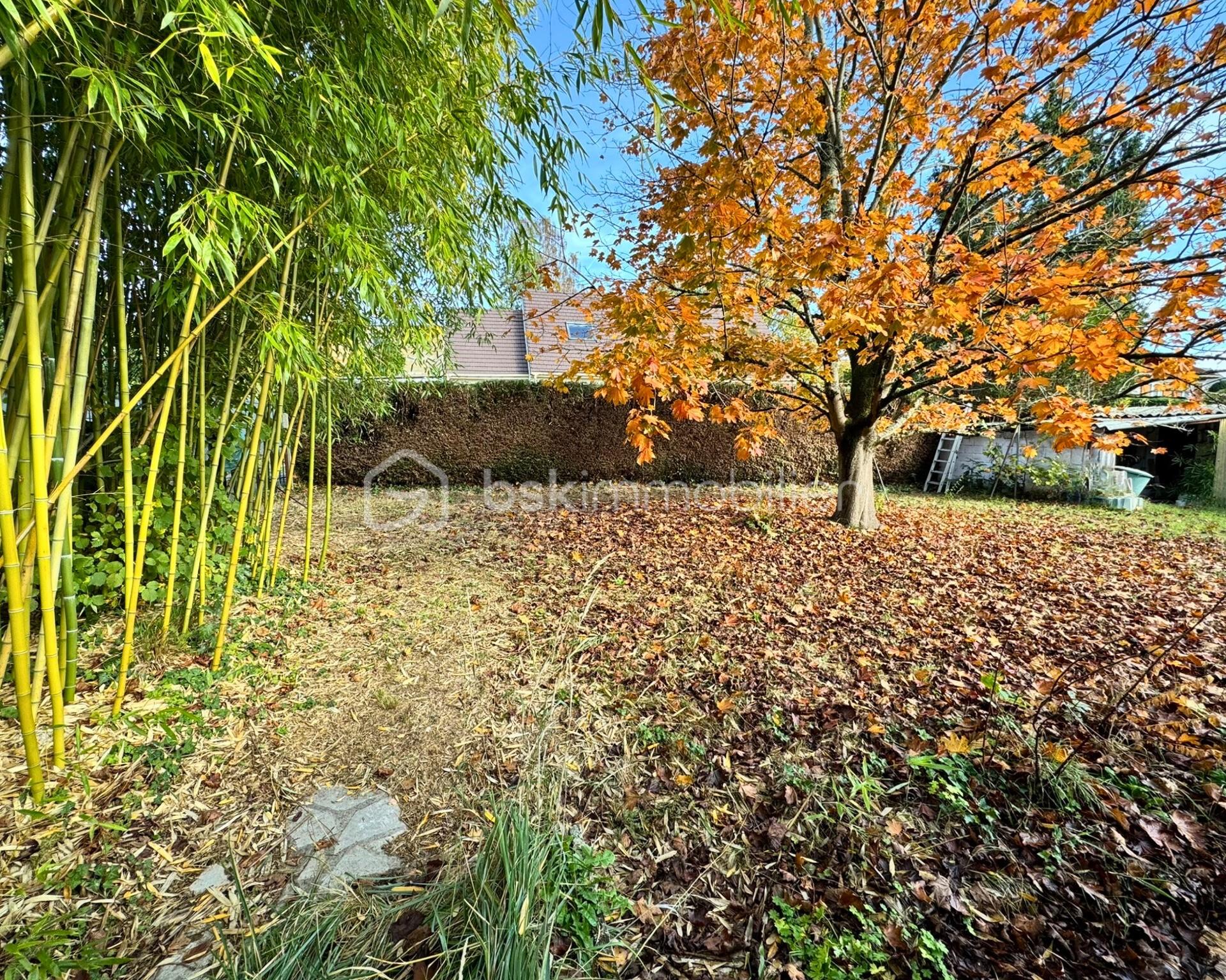 Maison traditionnelle de 113 m² - canjardin1.jpeg