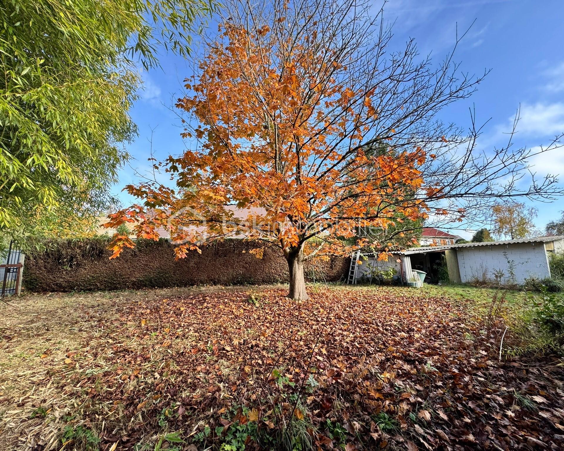 Maison traditionnelle de 113 m² - canjardin.jpeg