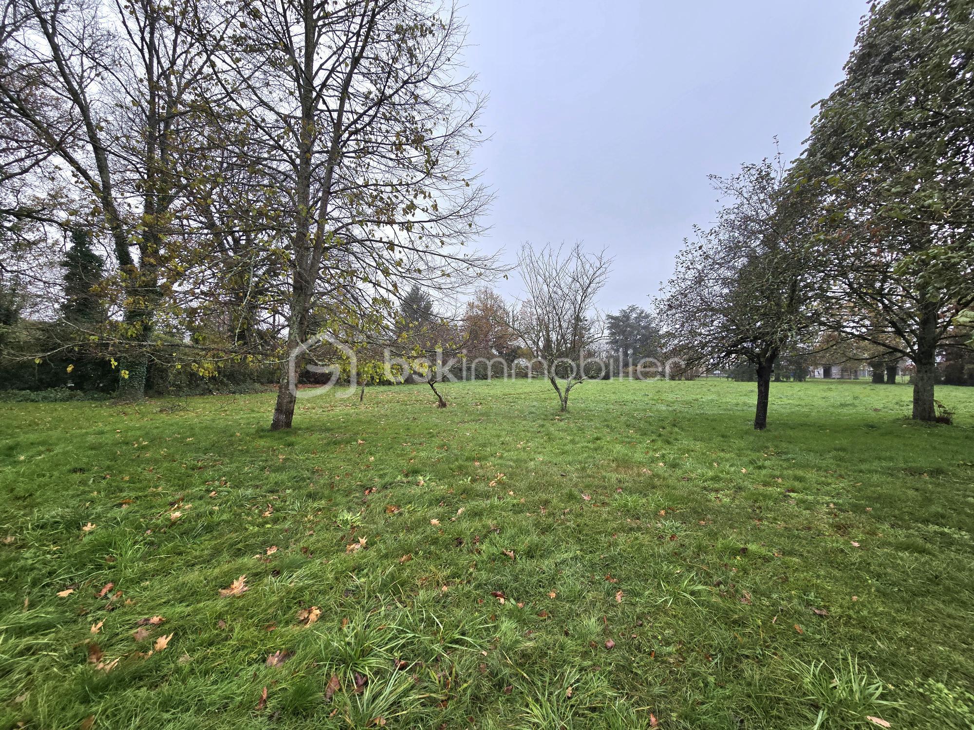 Maison de 95 m² - 20251124_130301.jpg