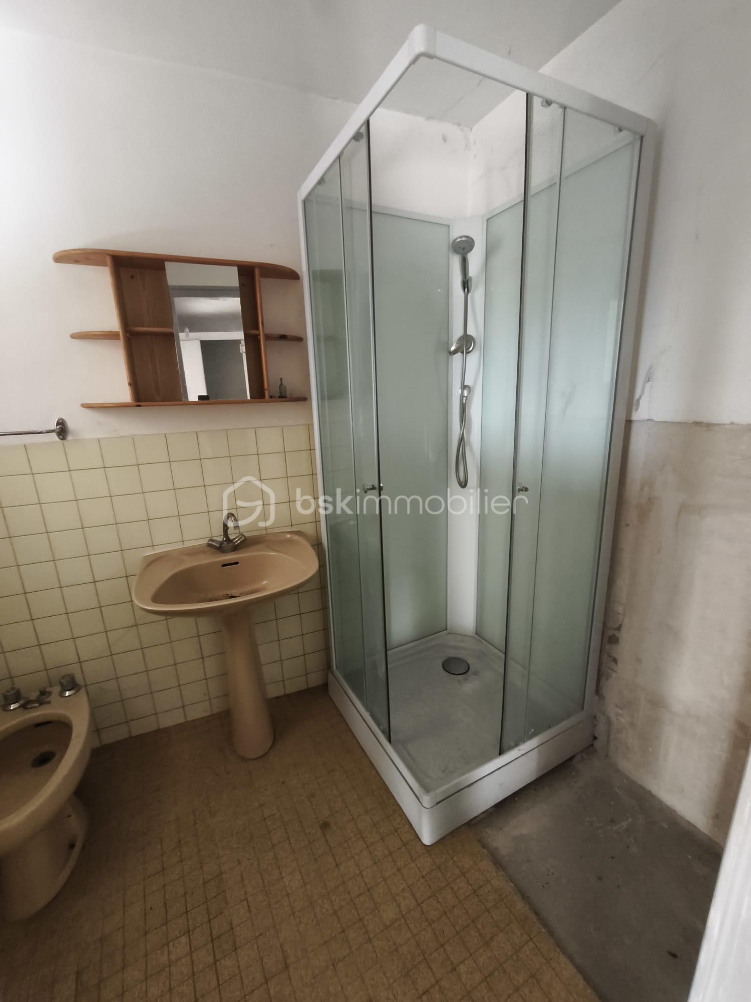 Maison de 230 m² - douche.jpg
