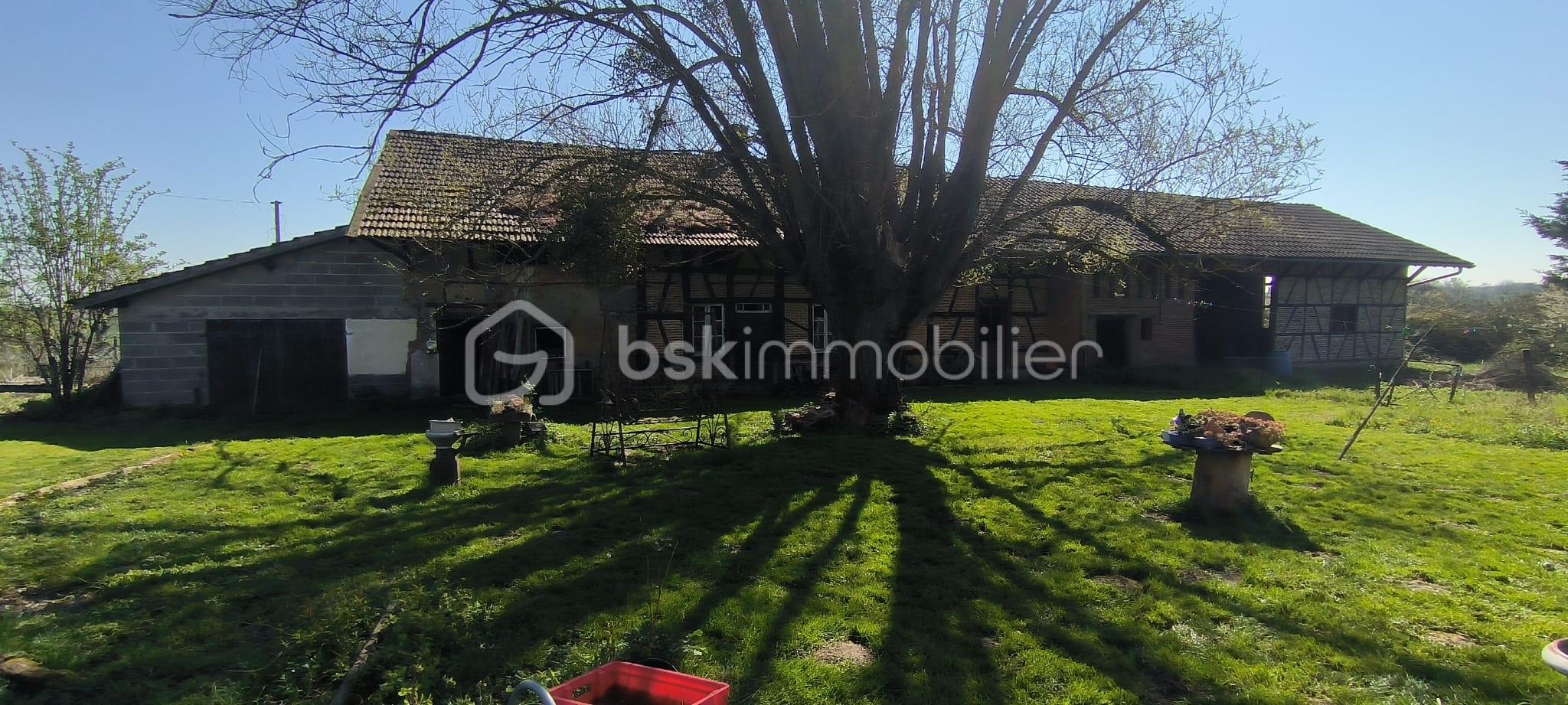 WhatsApp Image 2026-03-27 at 15.31.56 (1).jpeg