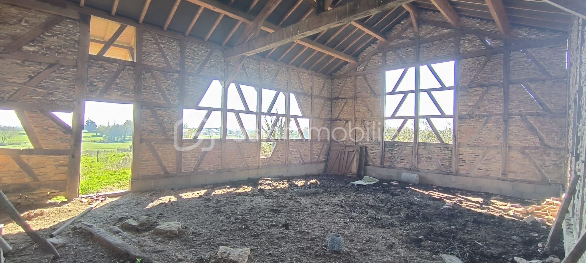 WhatsApp Image 2026-03-27 at 15.31.59.jpeg