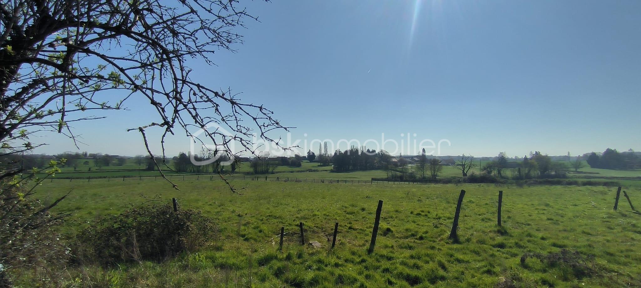 WhatsApp Image 2026-03-27 at 15.31.59 (2).jpeg