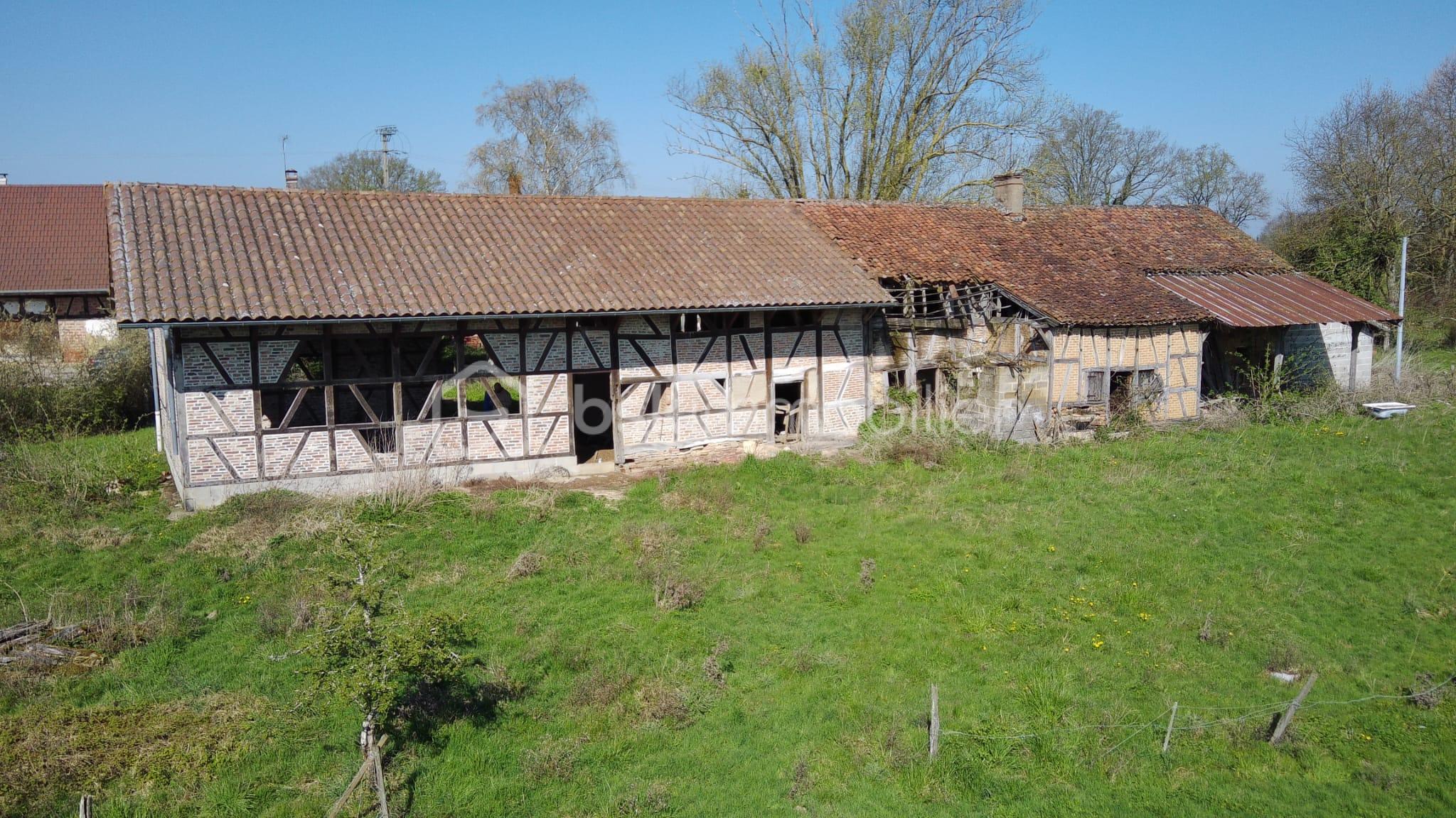 WhatsApp Image 2026-03-27 at 15.15.44.jpeg