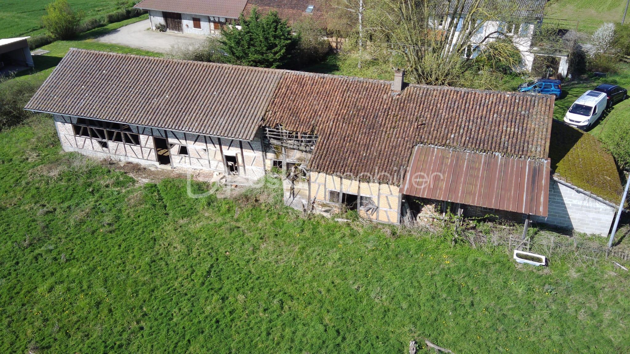 WhatsApp Image 2026-03-27 at 15.15.43 (3).jpeg