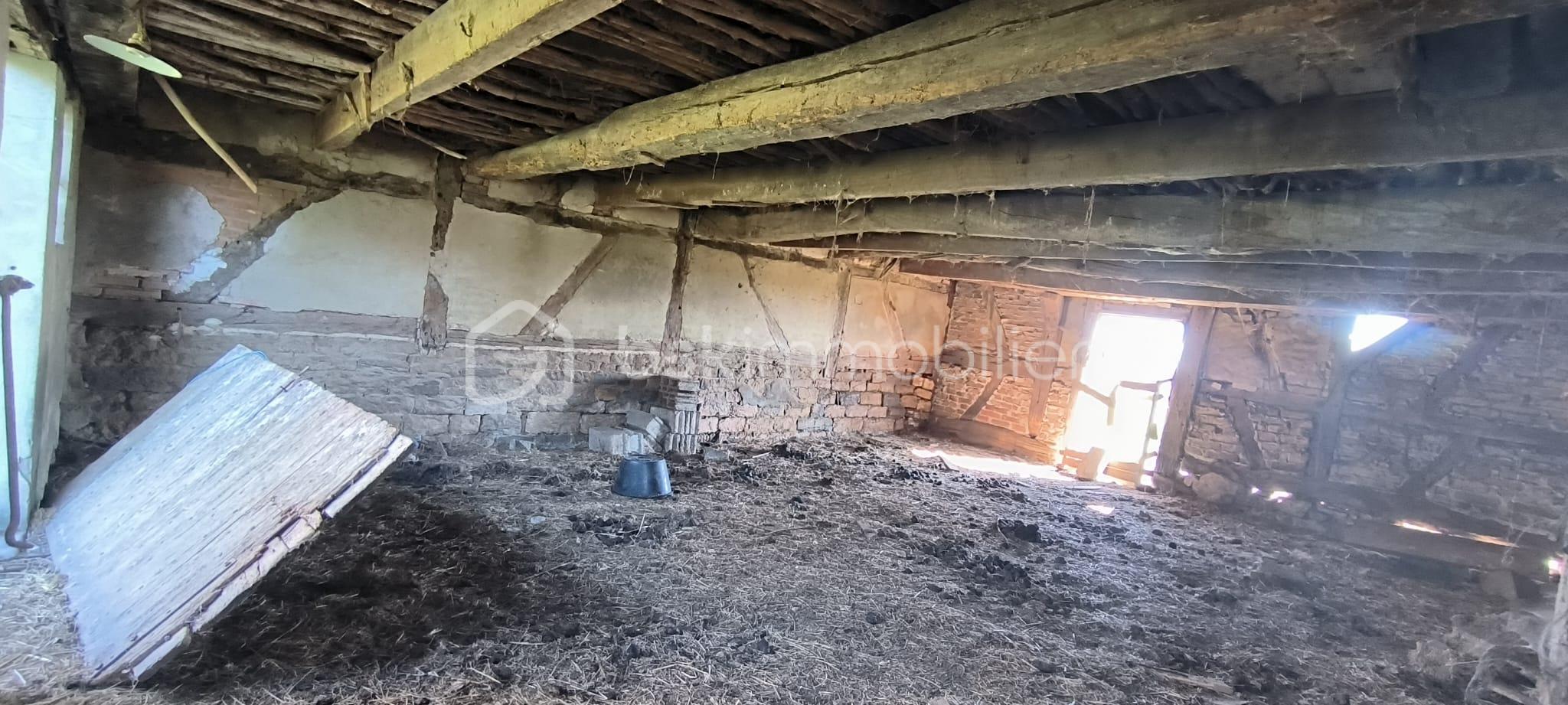 WhatsApp Image 2026-03-27 at 15.31.58 (4).jpeg