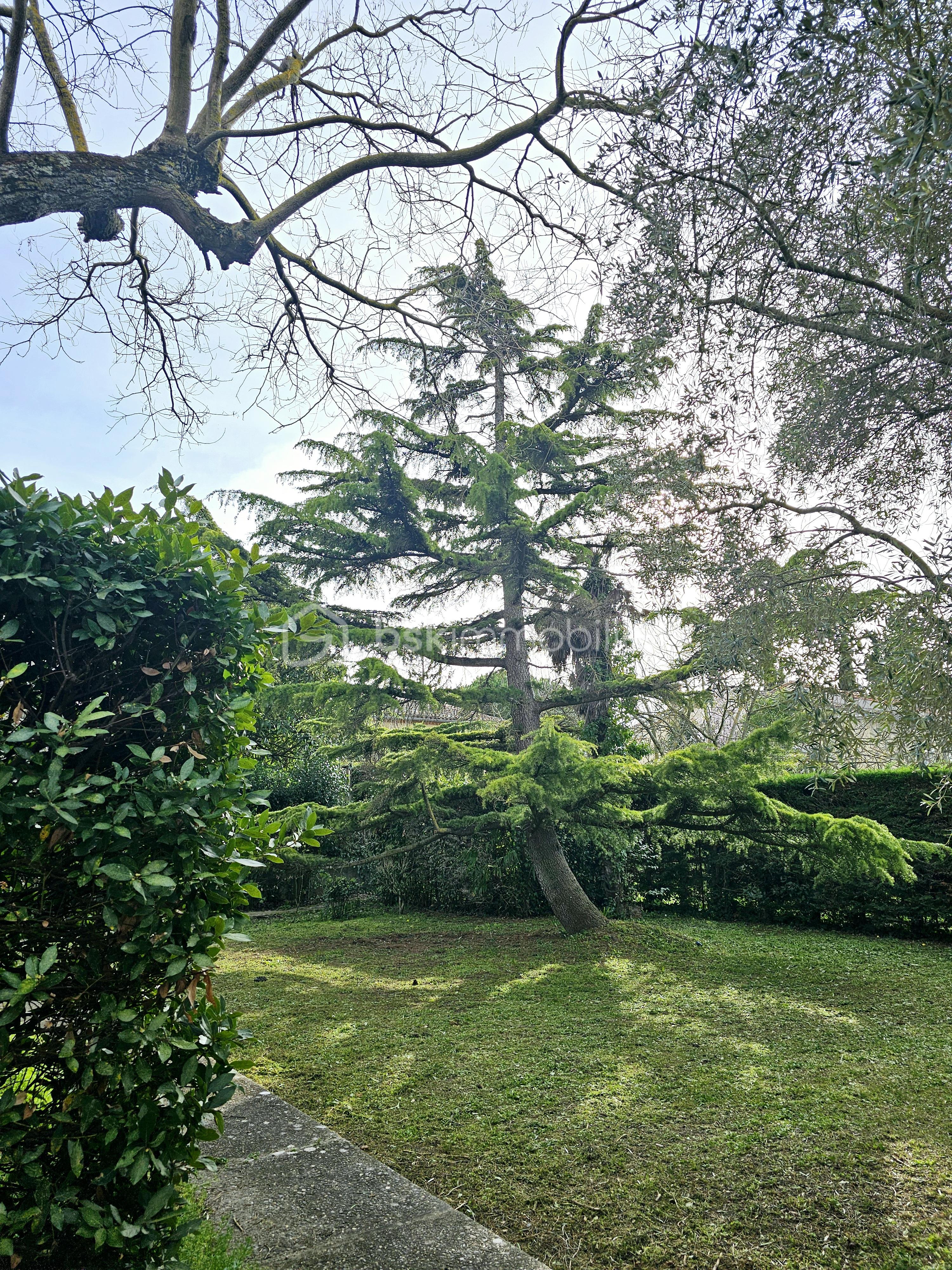 Maison de 265 m² - jardin.jpg