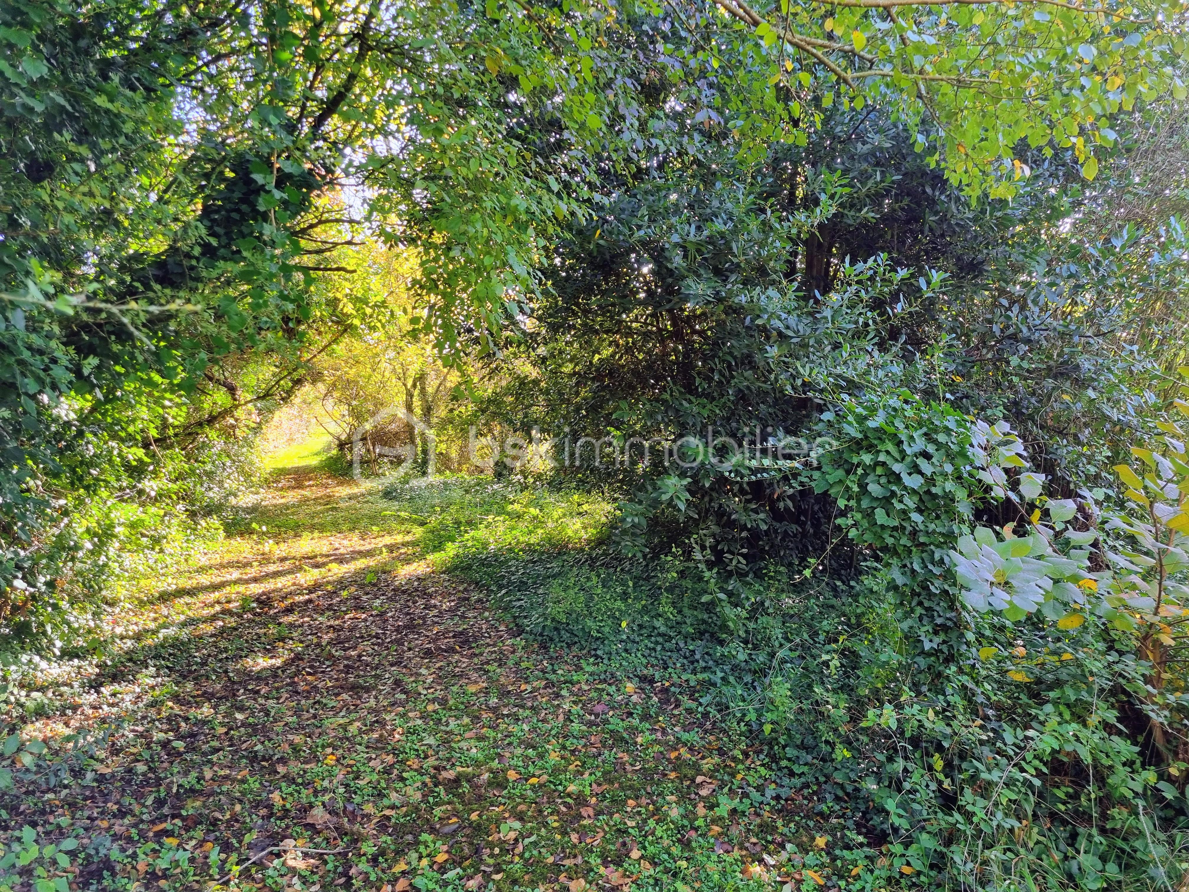 Maison en pierre de 171 m² - 20251026_104242~3.jpg