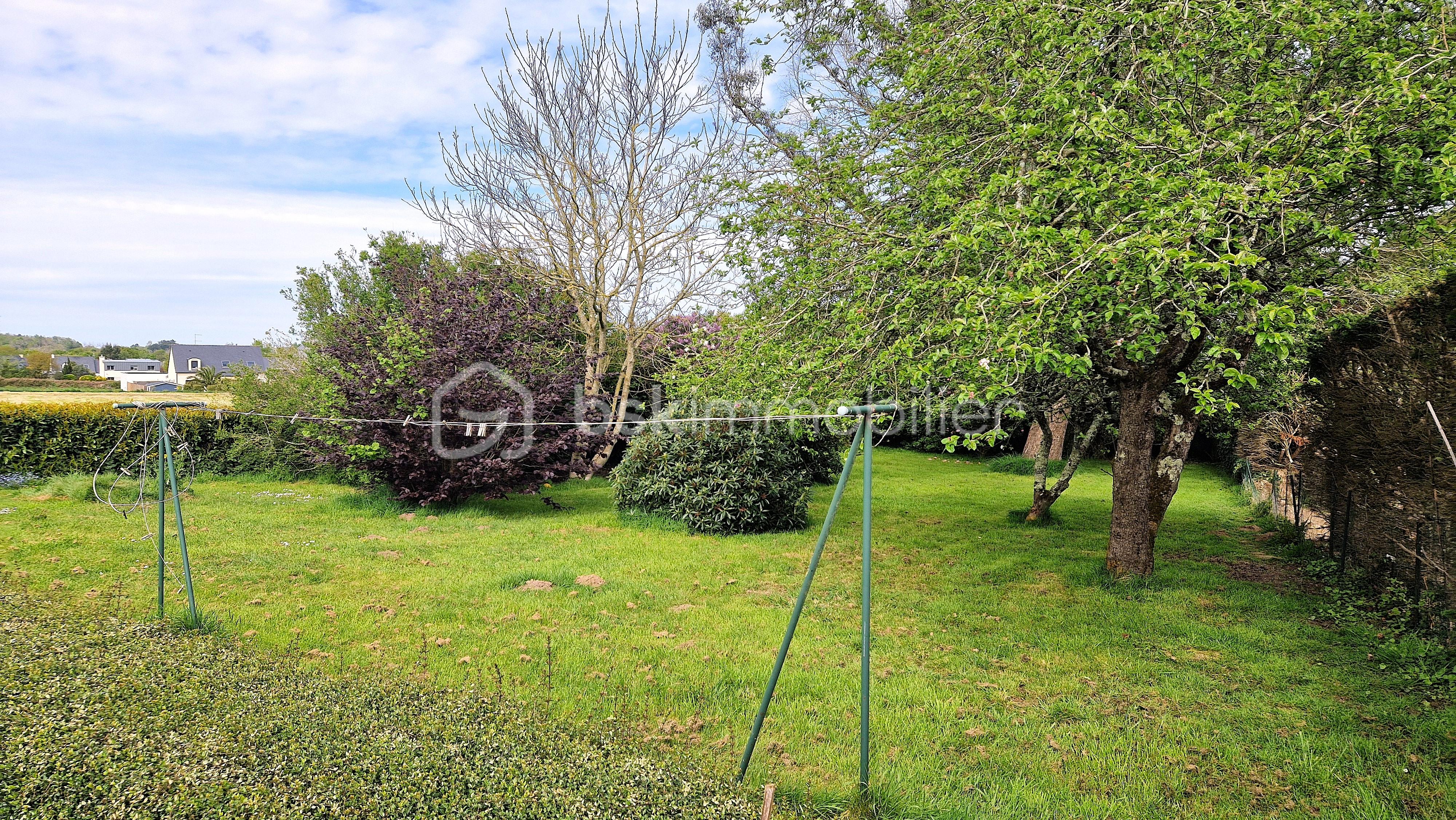 JARDIN.jpg