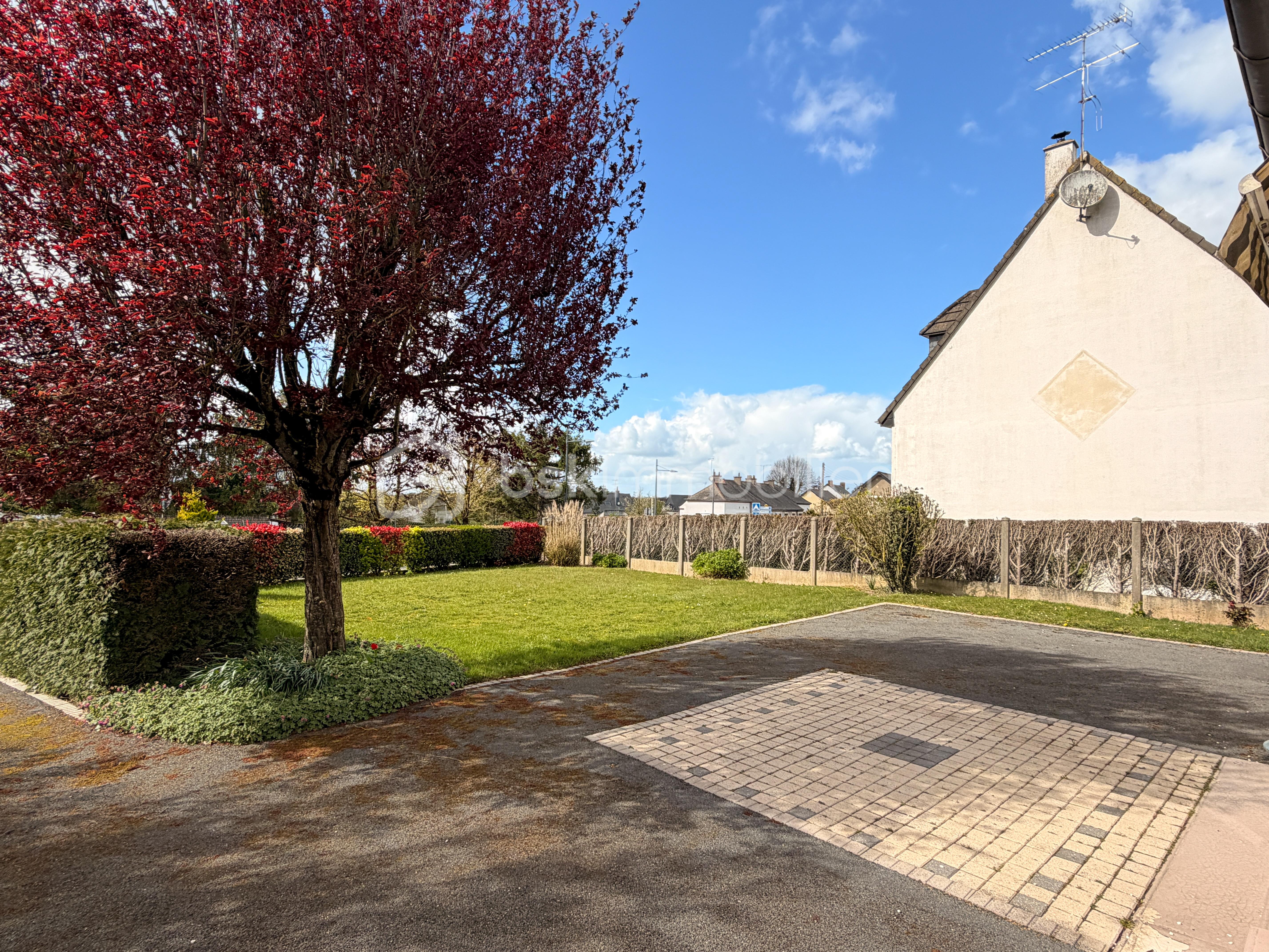 BEASSE CHRISTOPHE IMG_0596.JPG