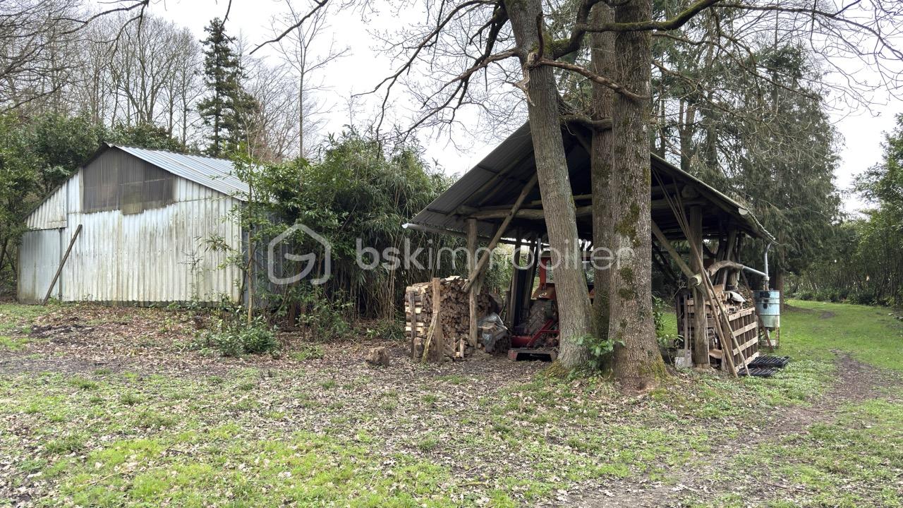 Propriete de 131,43 m² - IMG_7141 - Grande.jpeg