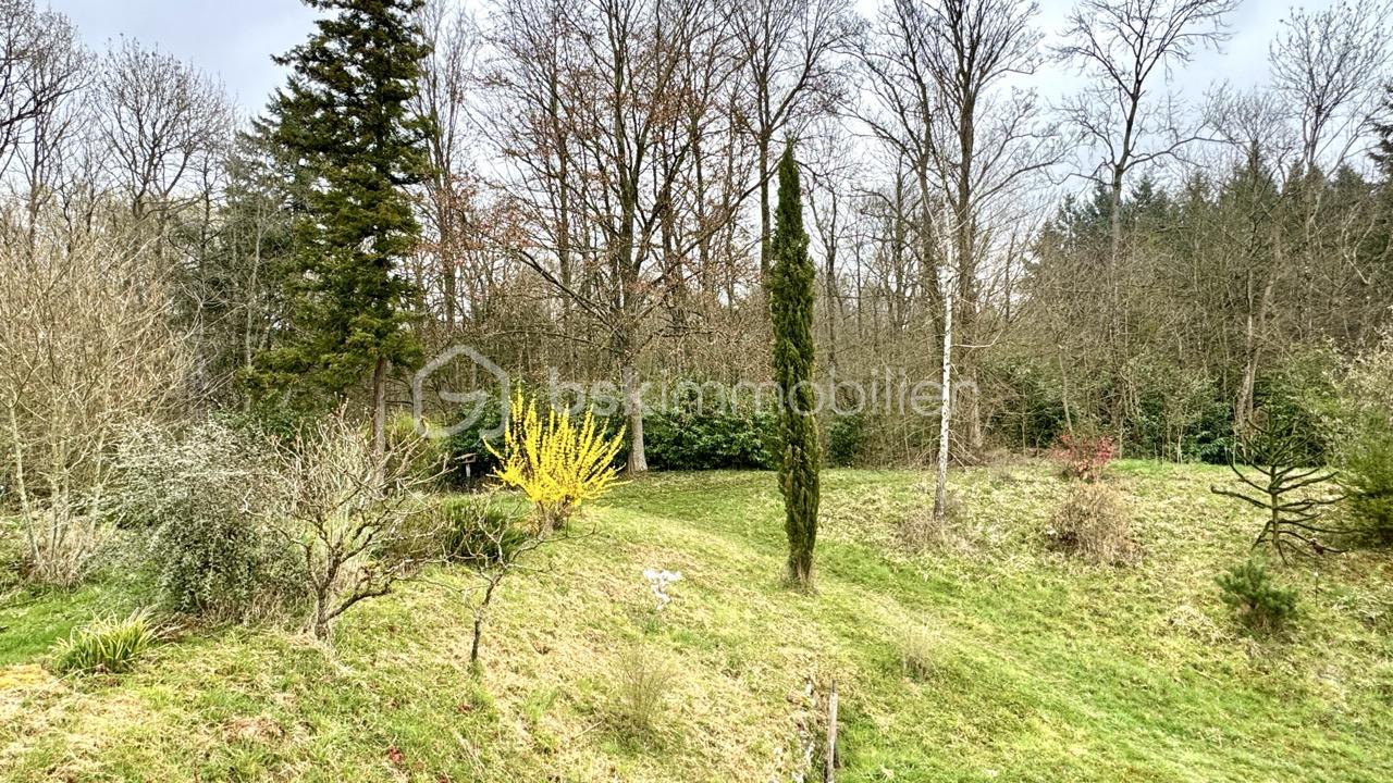 Propriete de 131,43 m² - IMG_7133 - Grande.jpeg