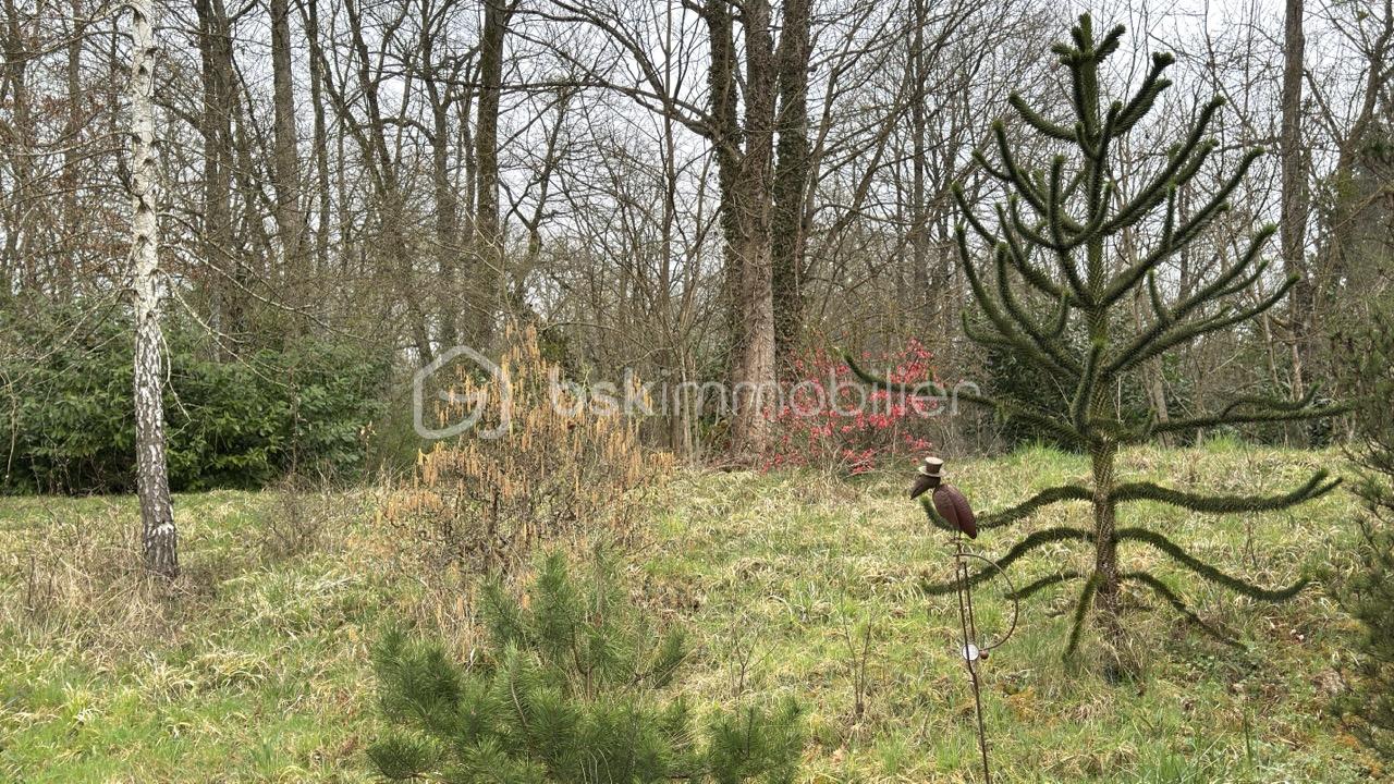 Propriete de 131,43 m² - IMG_7136 - Grande.jpeg