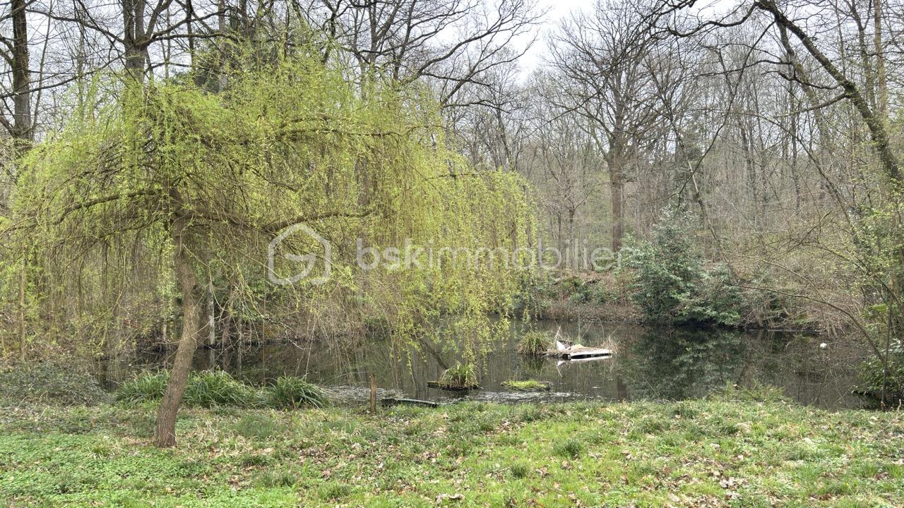 Propriete de 131,43 m² - IMG_7137 - Grande.jpeg