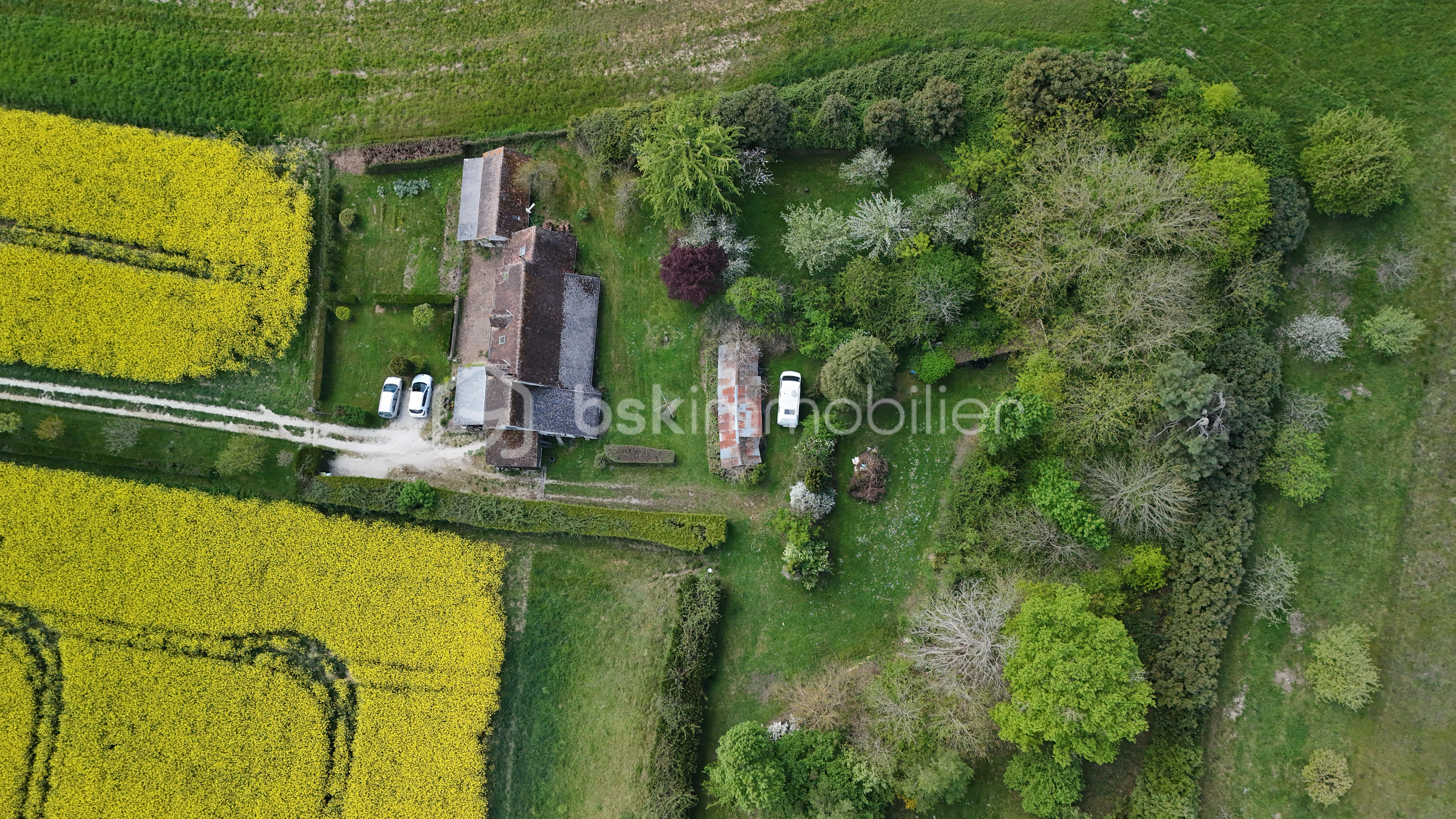 DJI_20260416150208_0344_D.JPG