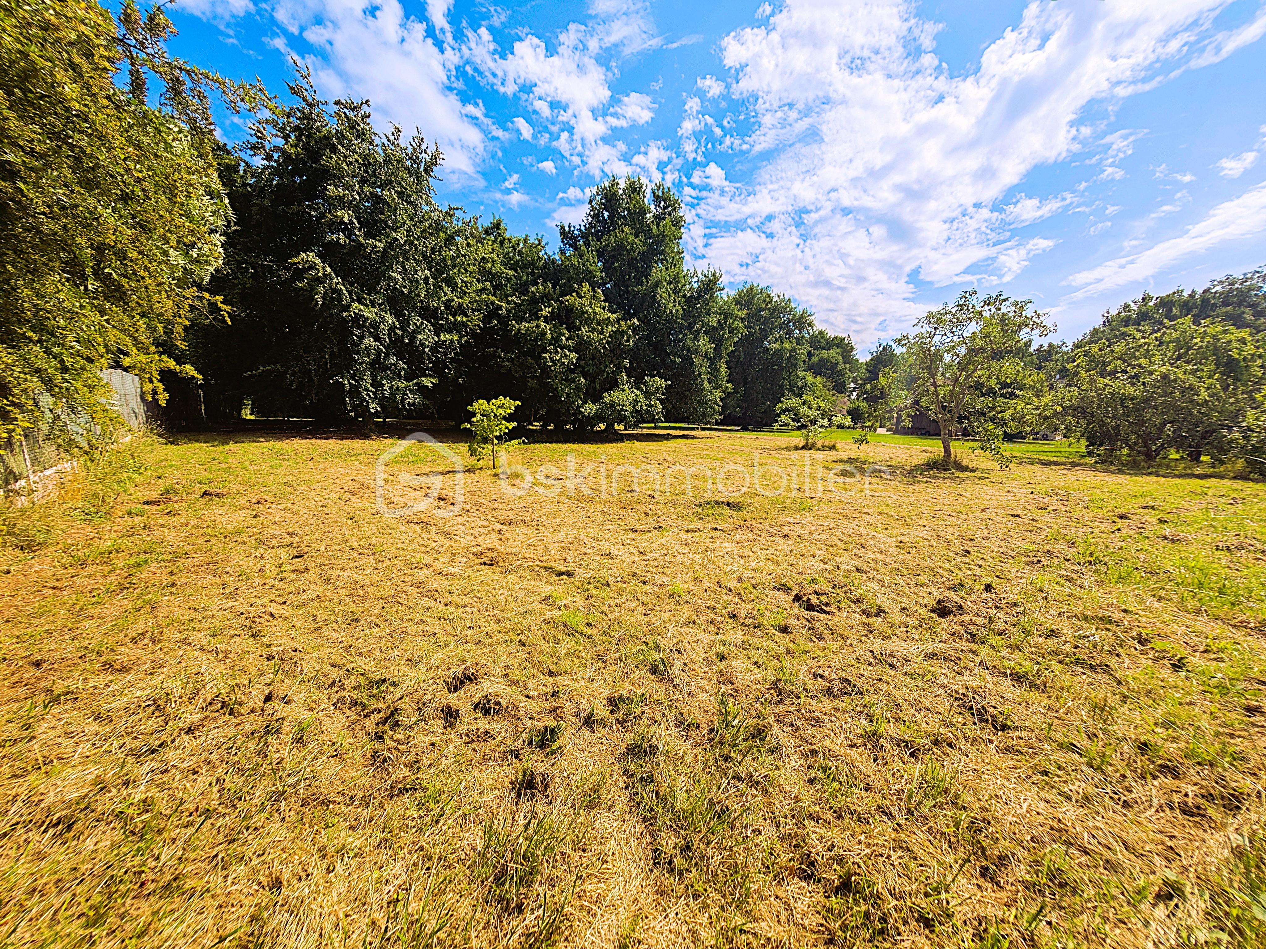 Terrain de 2 000 m² - ROSE3.jpg