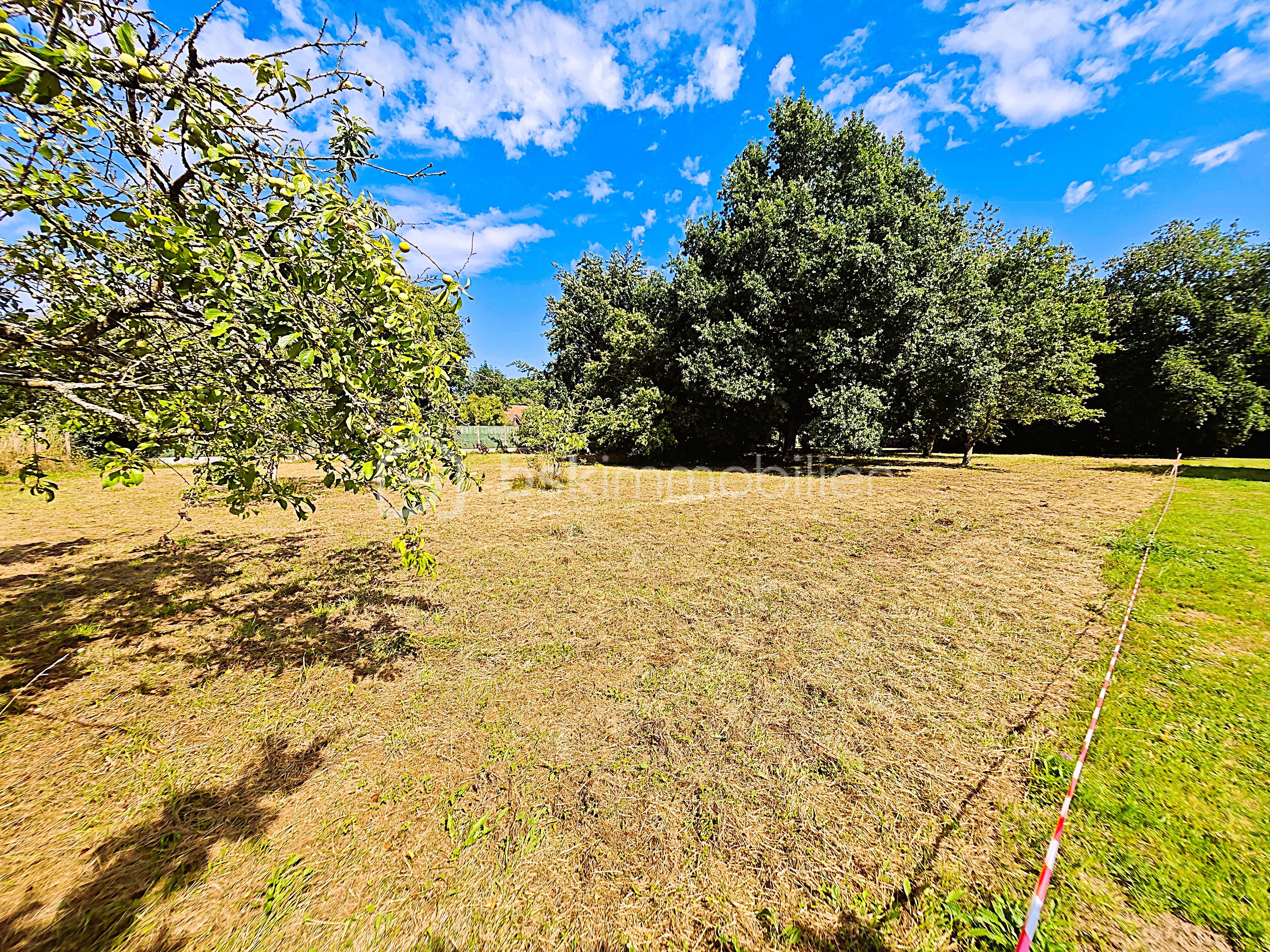 Terrain de 2 000 m² - ROSE2.jpg