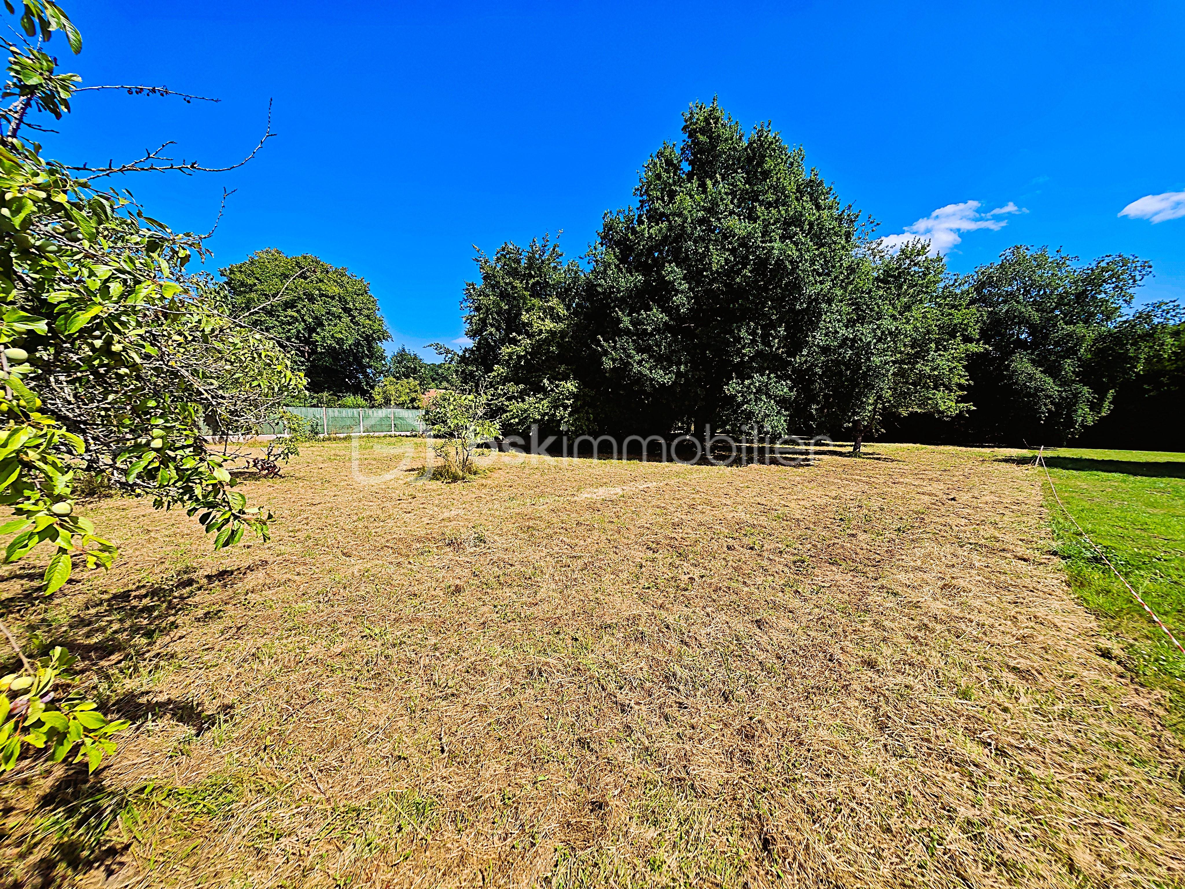 Terrain de 2 000 m² - ROSE4.jpg