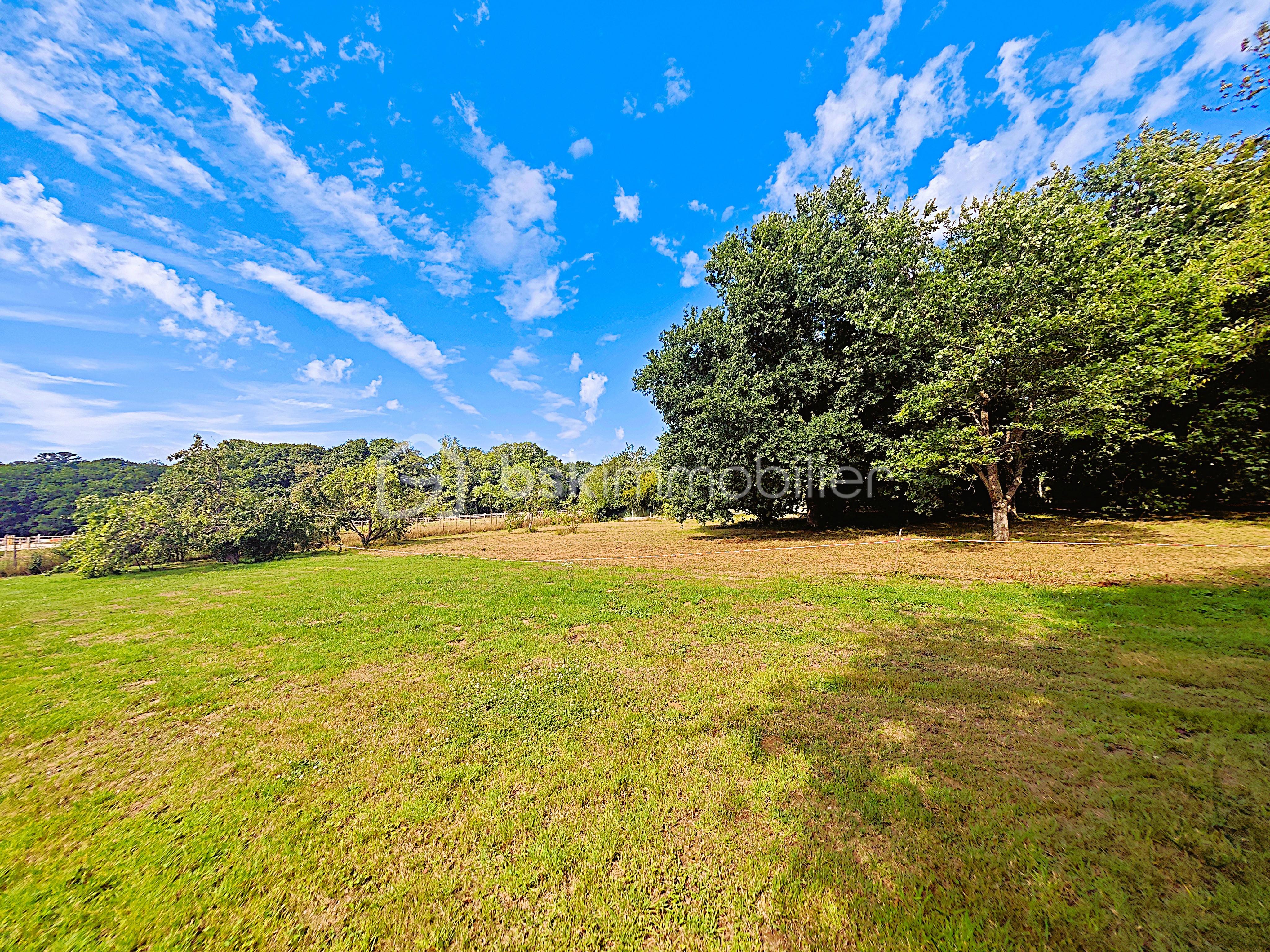 Terrain de 2 000 m² - ROSE1.jpg
