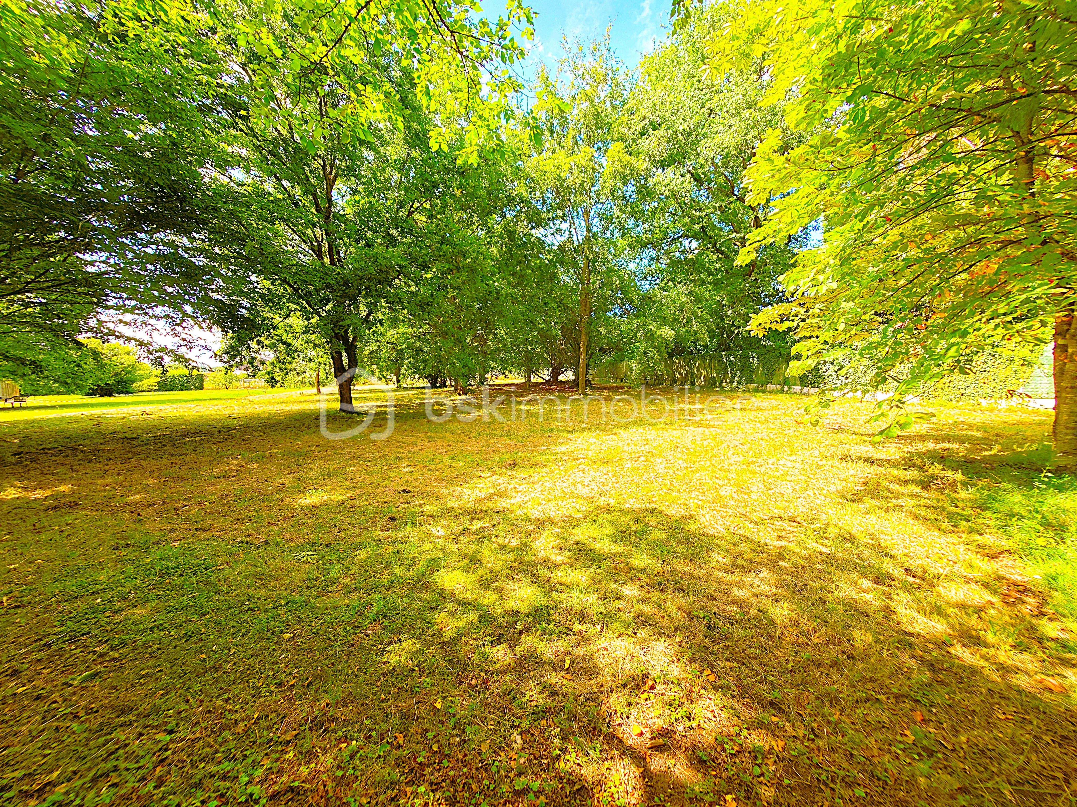 Terrain de 2 000 m² - ROSE7.jpg