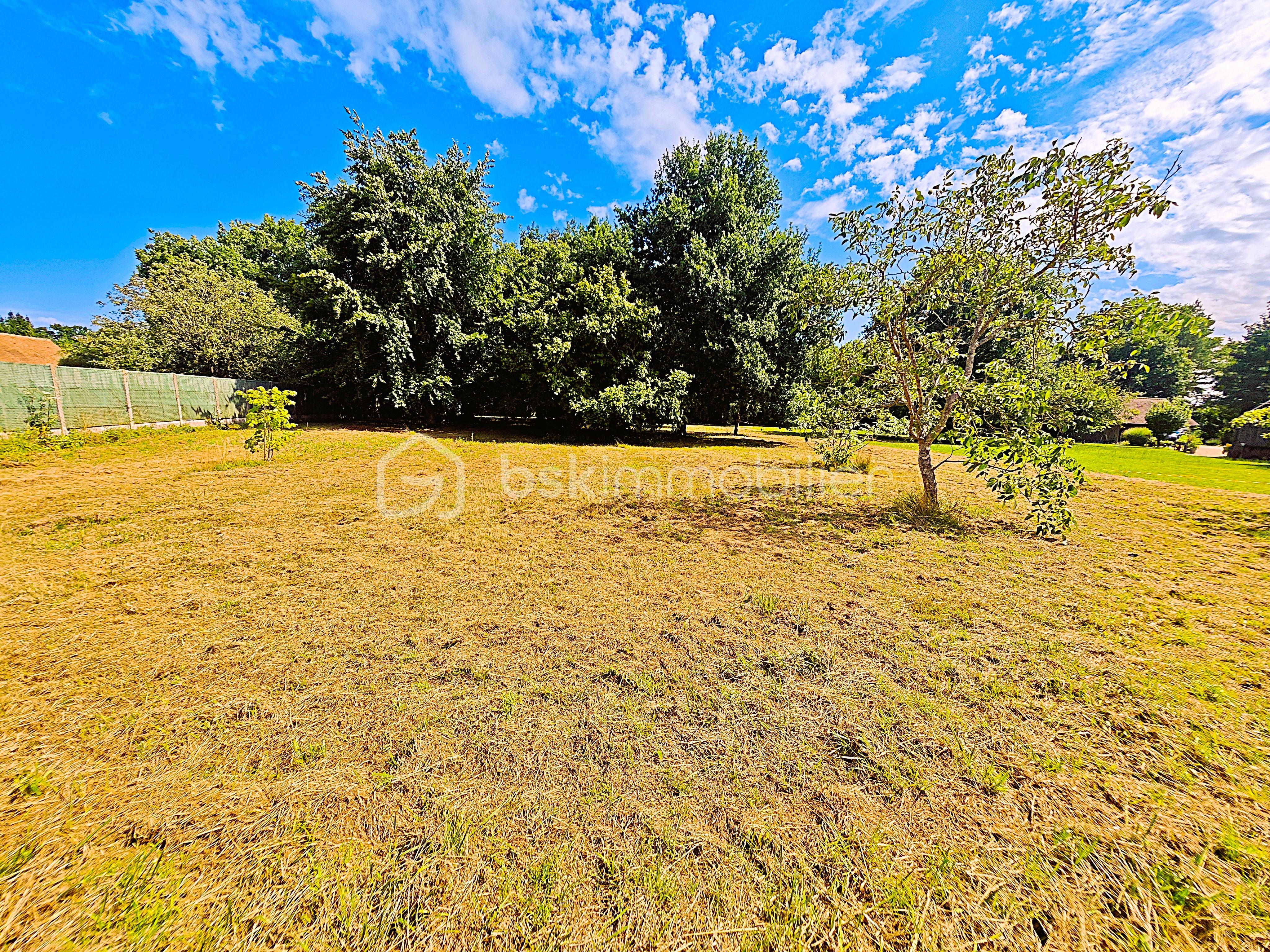Terrain de 2 000 m² - ROSE6.jpg