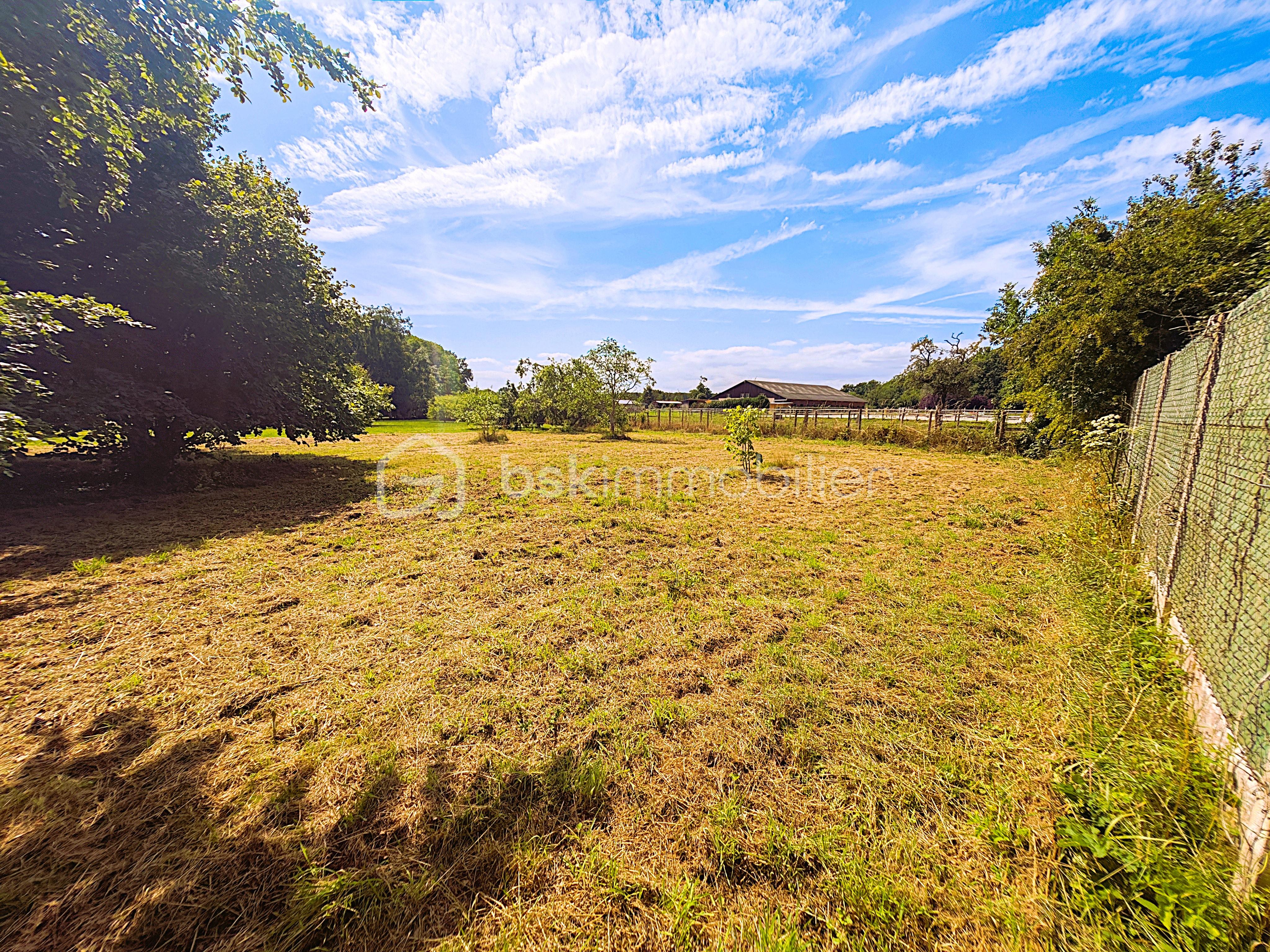 Terrain de 2 000 m² - ROSE5.jpg