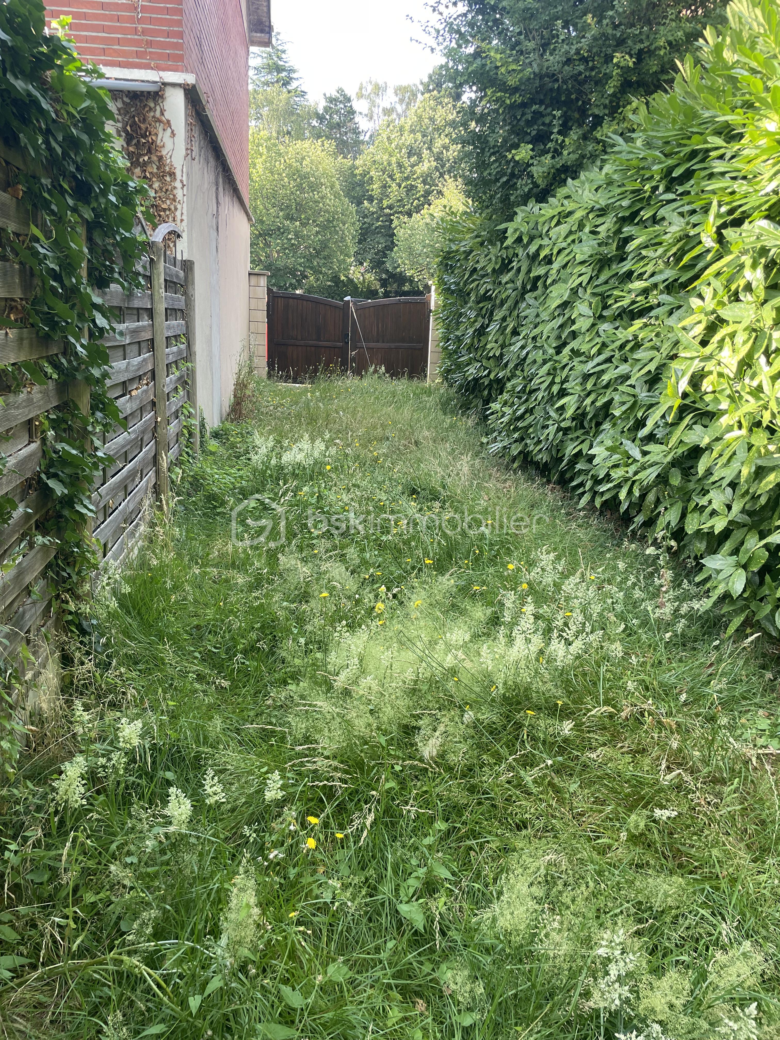 IMG_2940.jpeg