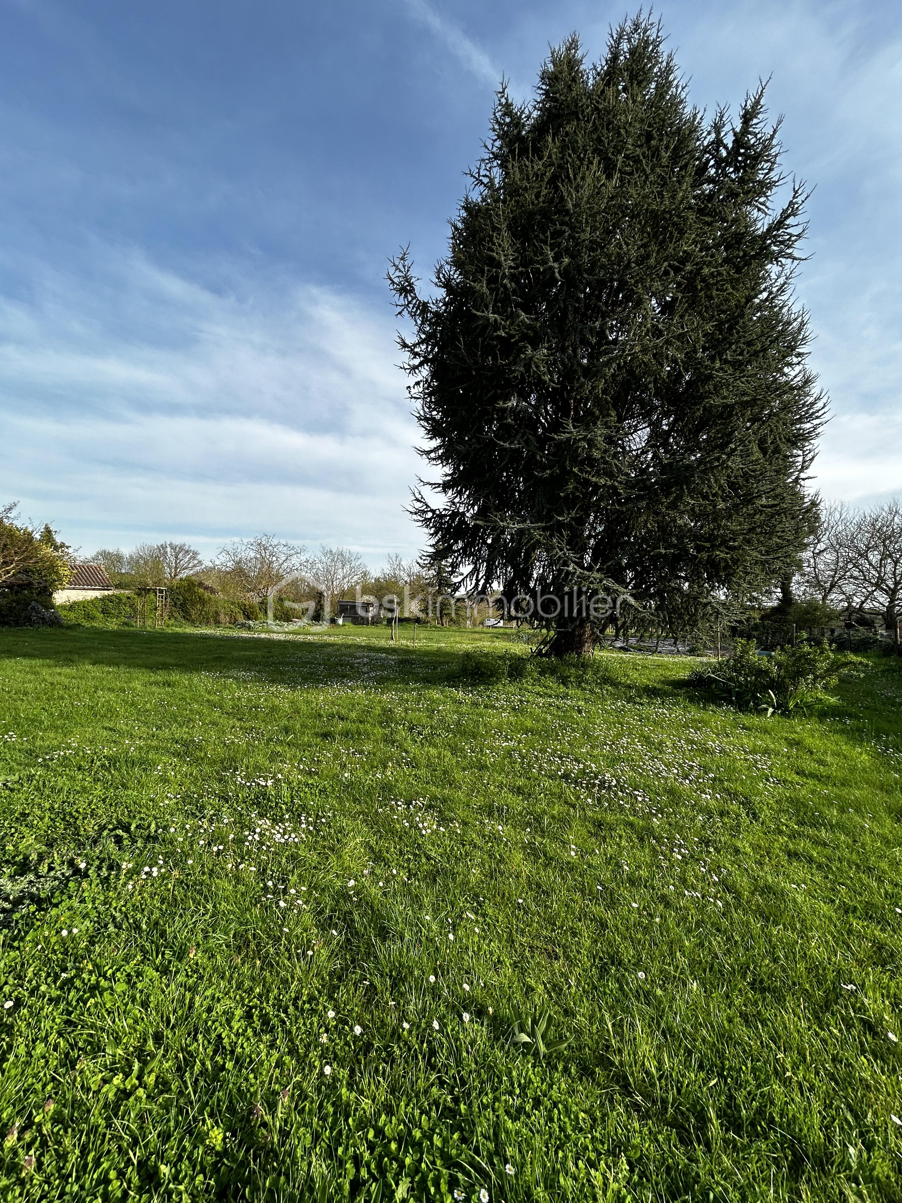 Maison charentaise de 120 m² - IMG_4746.jpg