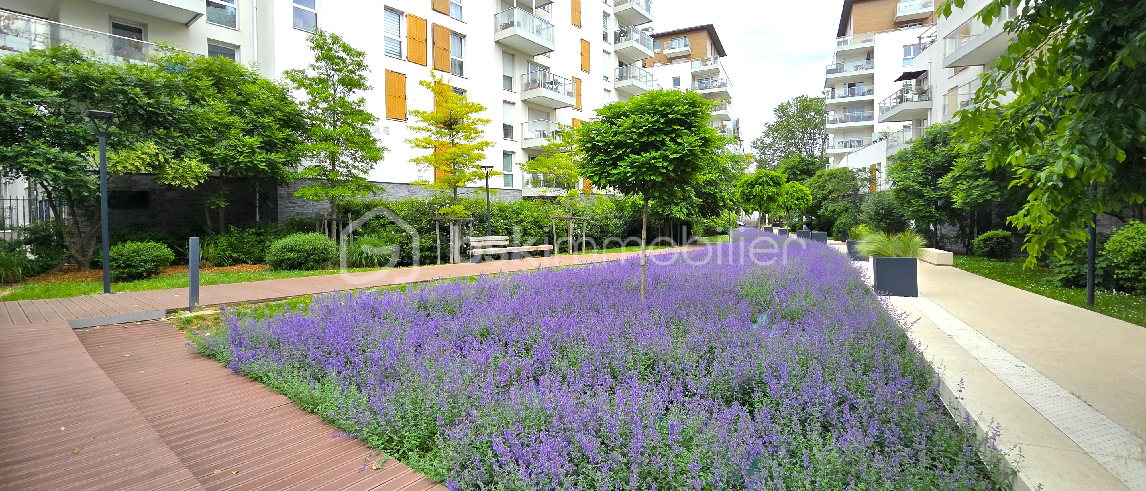 JARDIN.jpg